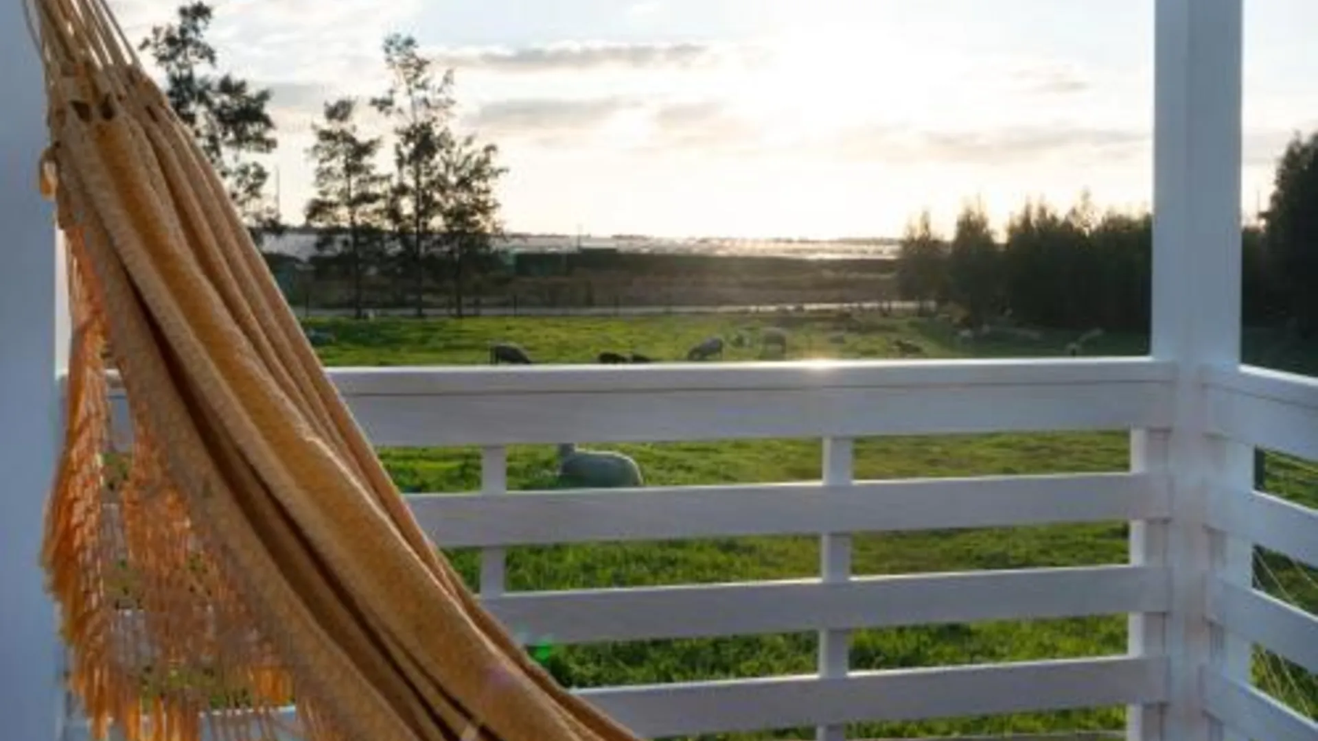 잠부예이라 도 마르 Herdade do Kuanza 5성급 게스트하우스 부대시설