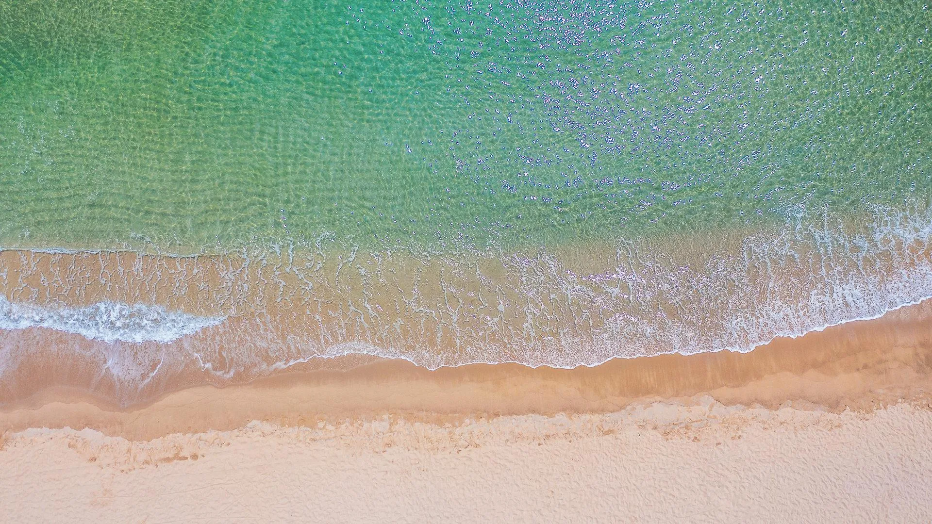 양양 양양 메종드메르펜션 2성급 게스트하우스 레스토랑