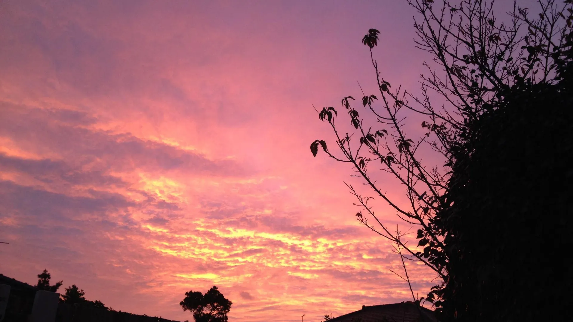 오키나와 본섬 오키나와 호스텔 얀바루 후쿠로 1성급 호텔 객실