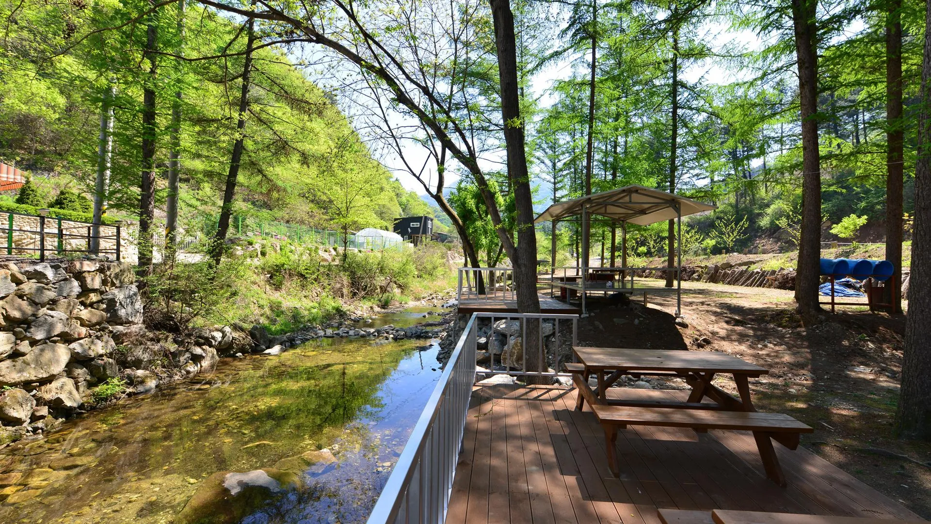 가평 가평 봉미산계곡예당펜션 1성급 게스트하우스 레스토랑