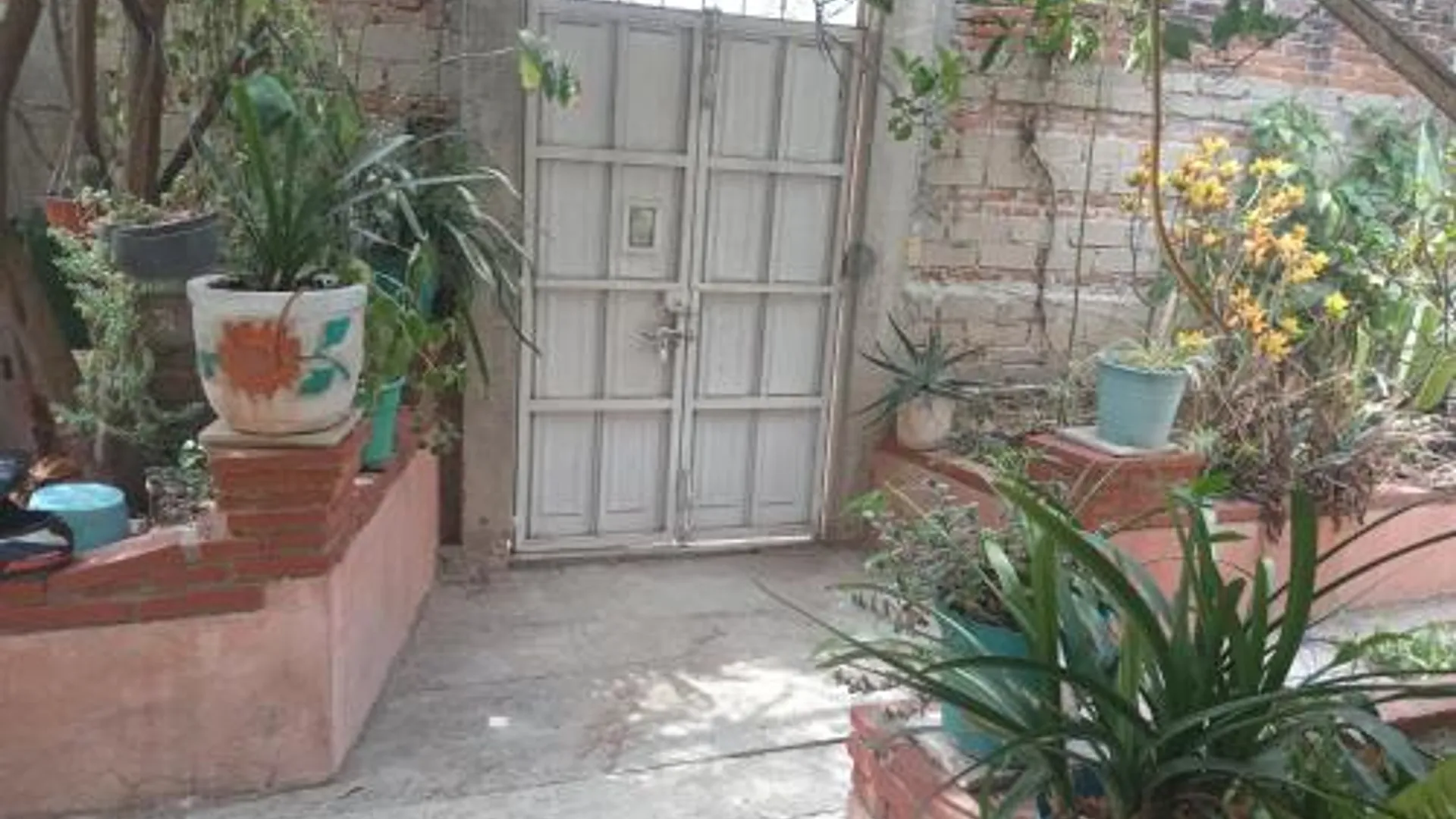 오악사카 casa los patos 1성급 싱글룸 외관