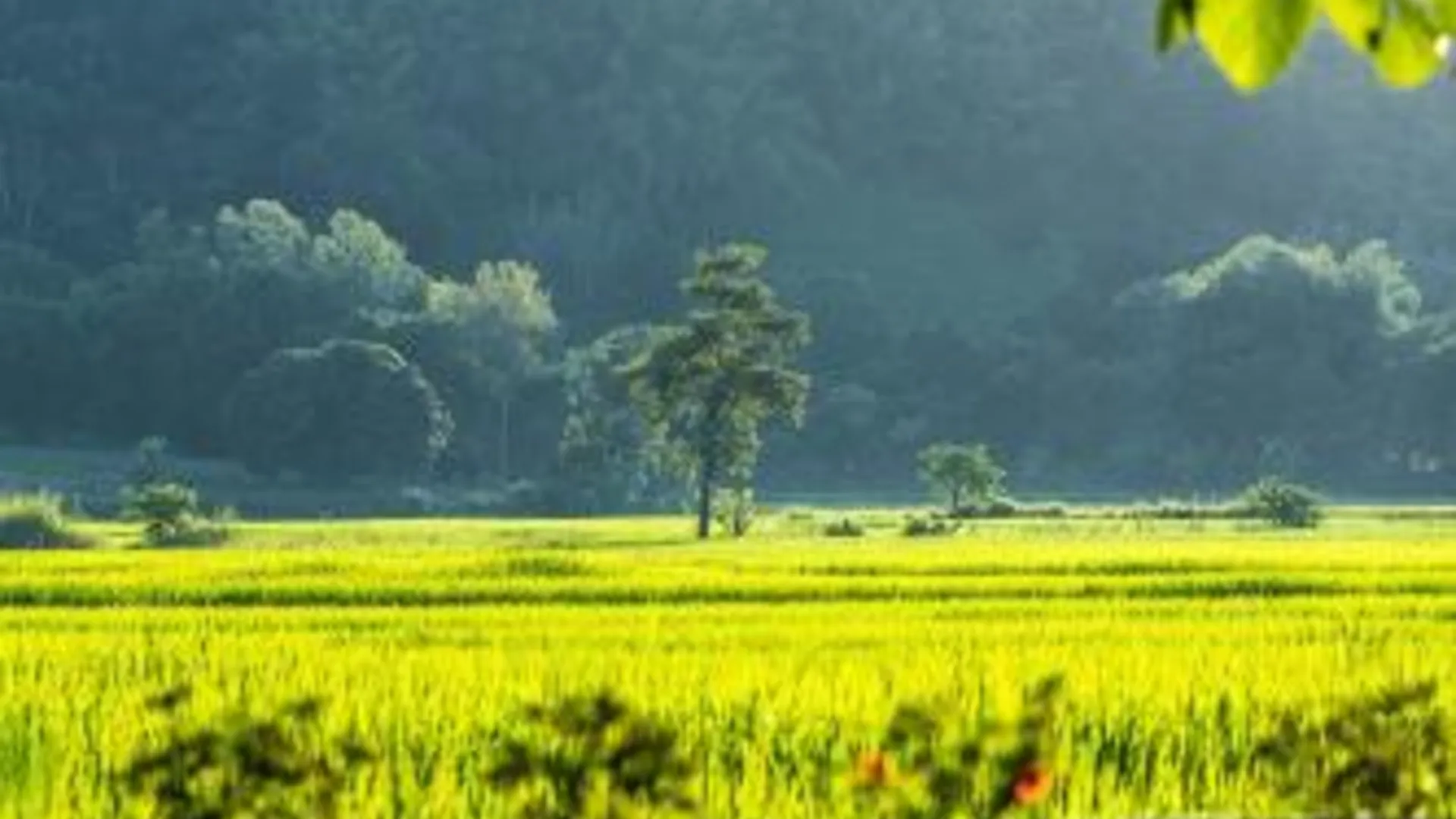 치앙라이 Baan Sin Suk 호텔 전망