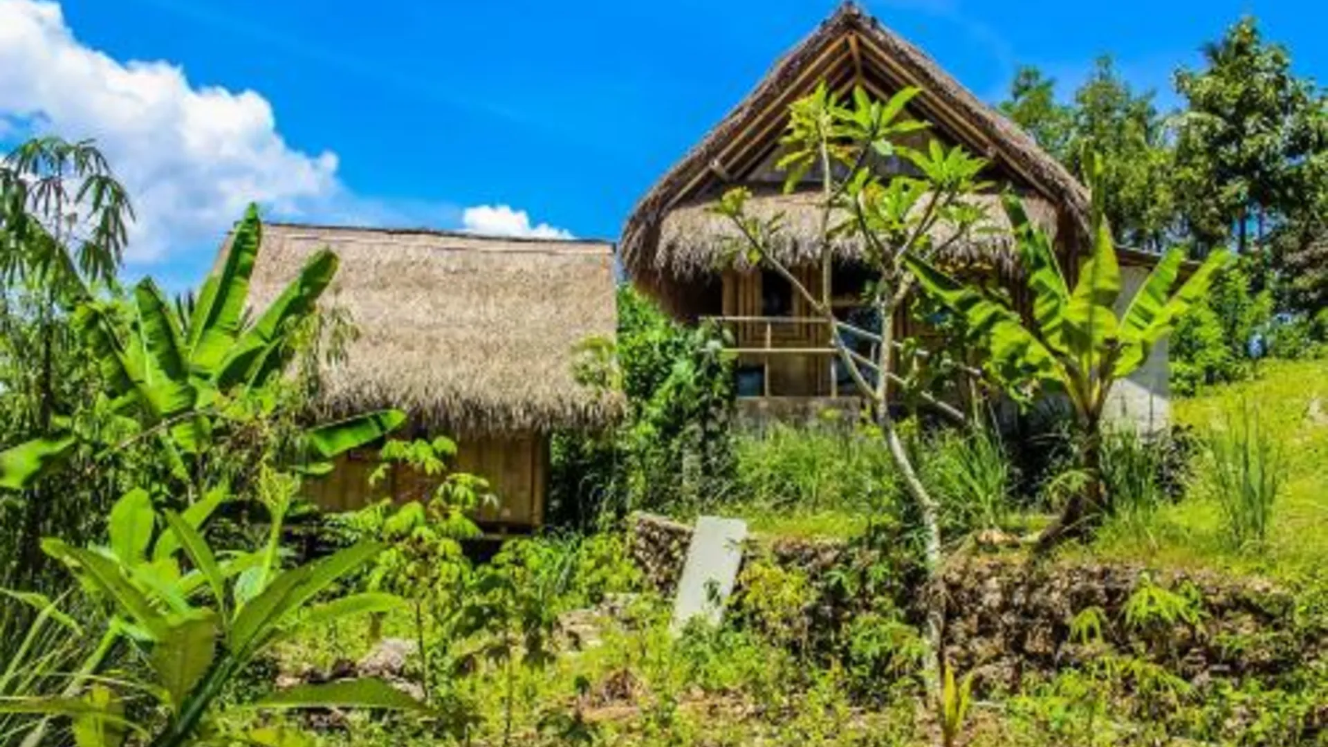 발리 Echo Alam Nusa Lodge 3성급 게스트하우스 객실