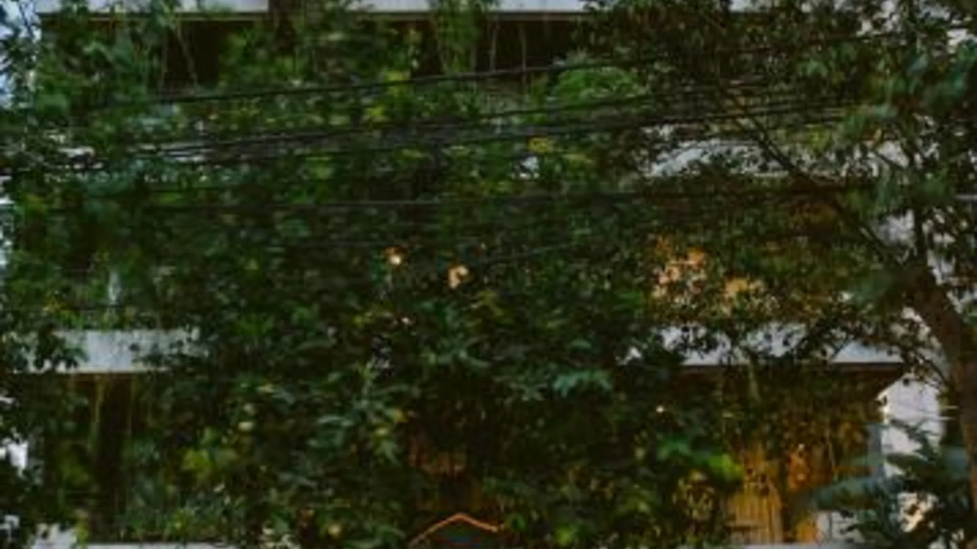 다낭 리비 다낭 스타일 4성급 호텔 레스토랑