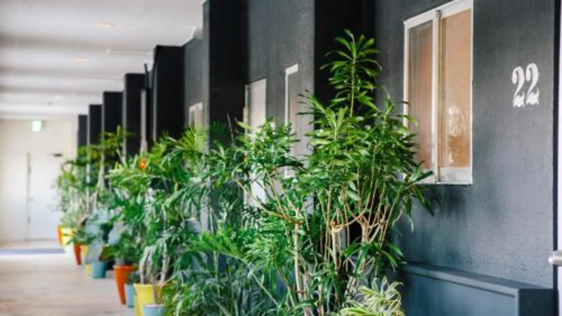 오키나와 본섬 스파이스 모텔 오키나와 2성급 호텔 객실