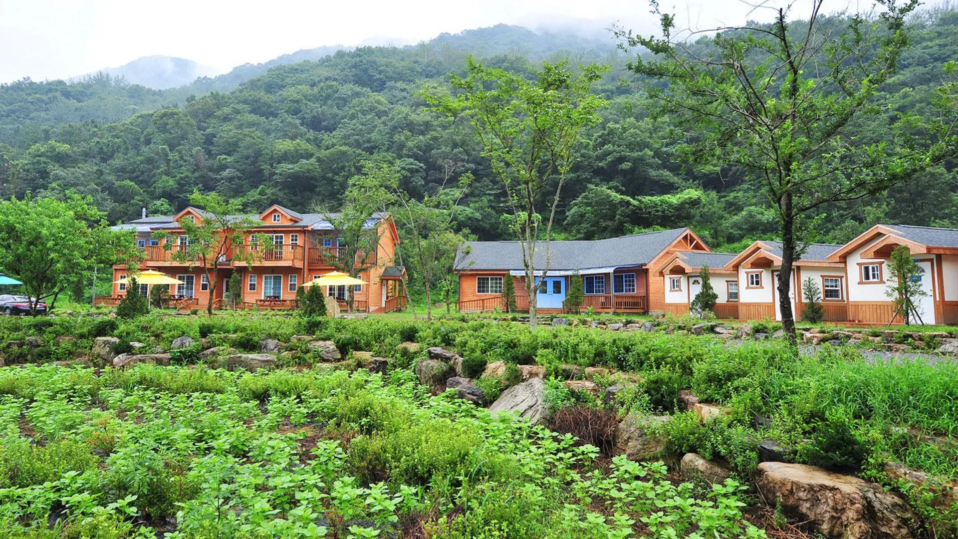 진안군 완주 거인산촌생태마을펜션 2성급 게스트하우스 전망