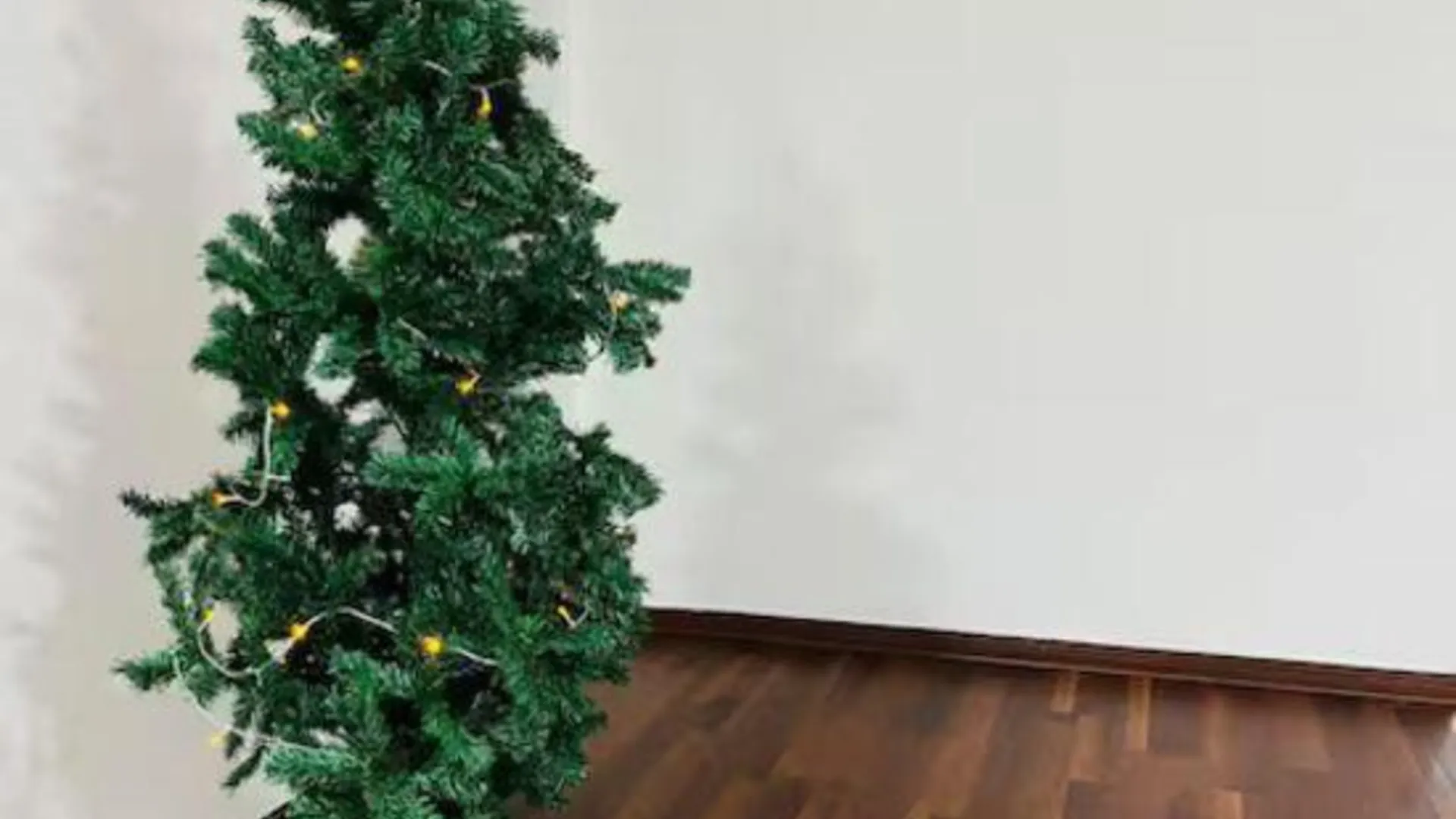 카메론 하일랜즈 Cameron Farm House 3성급 호텔 부대시설