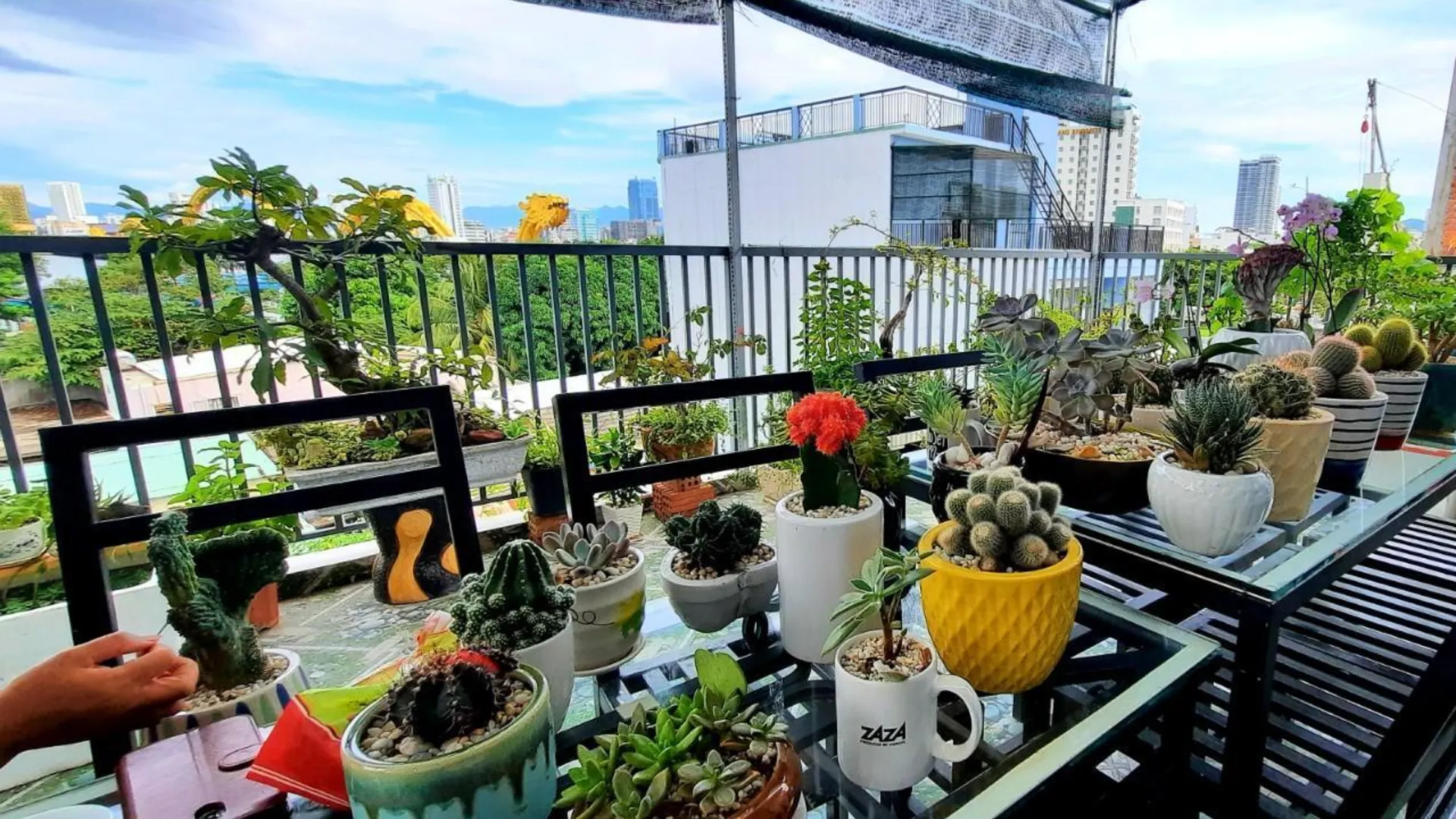 다낭 푸옥미의 프라이빗 하우스 (17m², 침실 1개, 프라이빗 욕실 1개) 3성급 싱글룸 객실