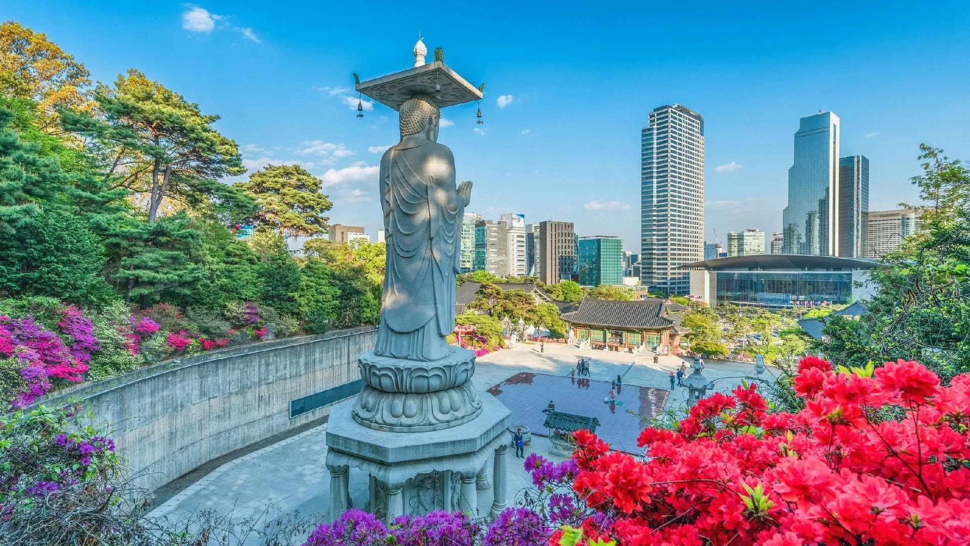 서울 양재 호텔 신트라 2성급 호텔 스위트룸