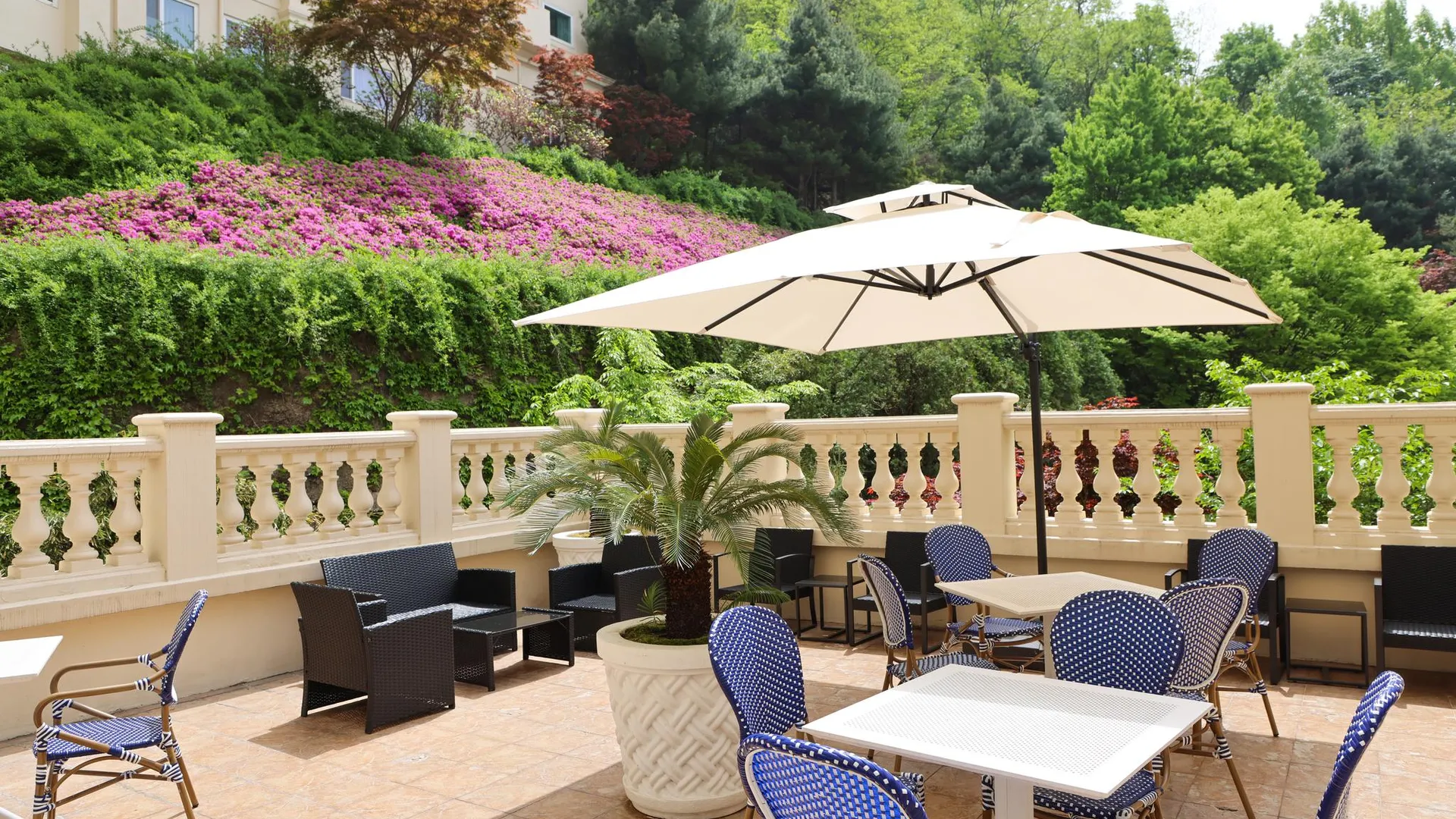 화성 라비돌 호텔 앤 리조트, 트레이드마크 컬렉션 바이 윈덤 4성급 호텔 부대시설