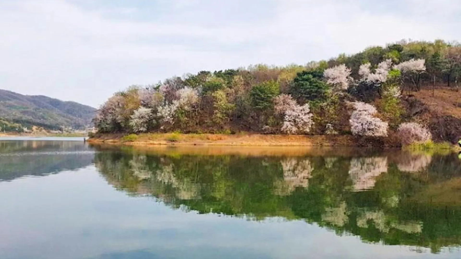 안성 안성 펜션뜰안채 3성급 게스트하우스 부대시설