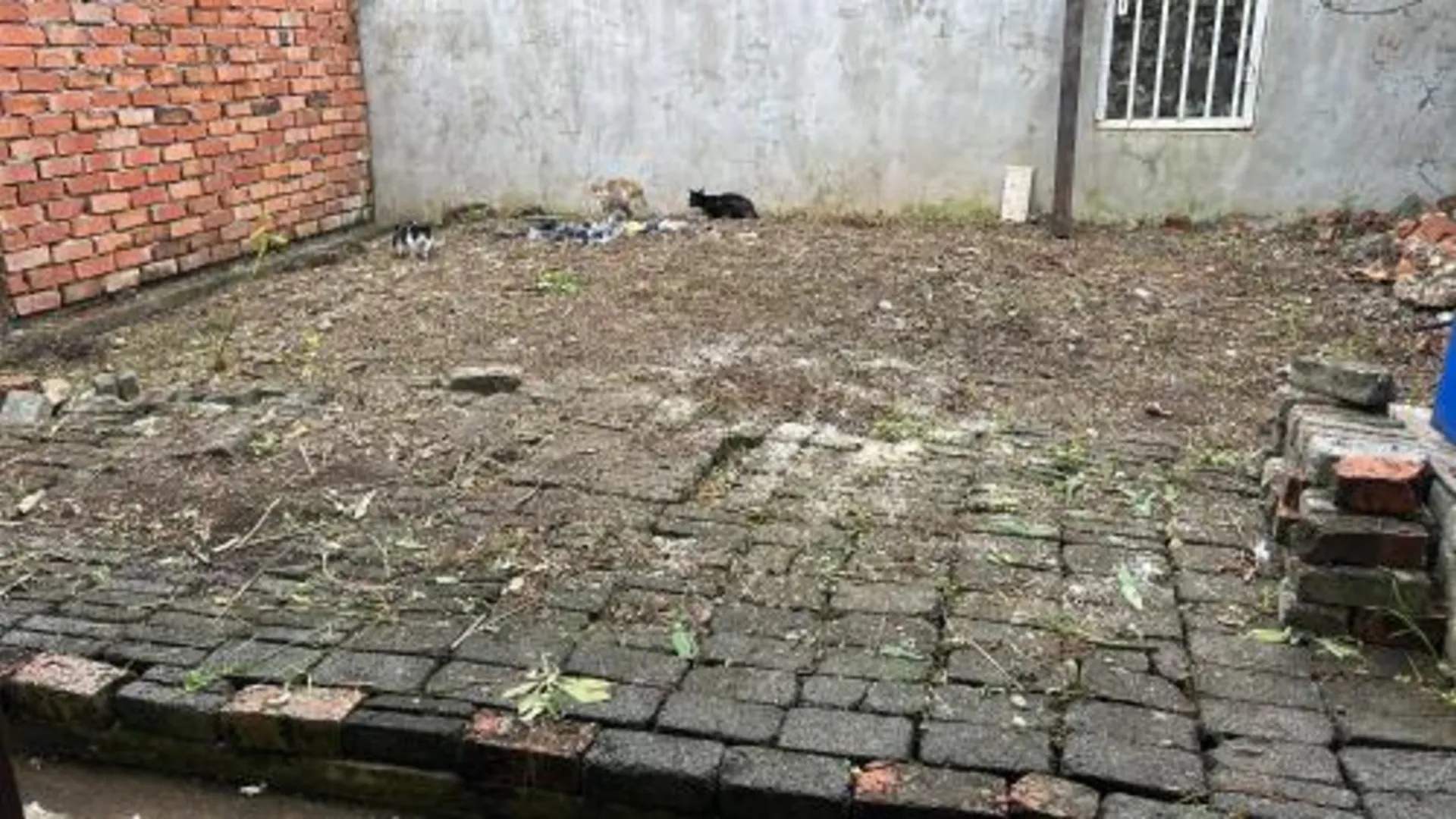 셈포르나 Comfy Transit Tawau-Semporna 3성급 게스트하우스 객실