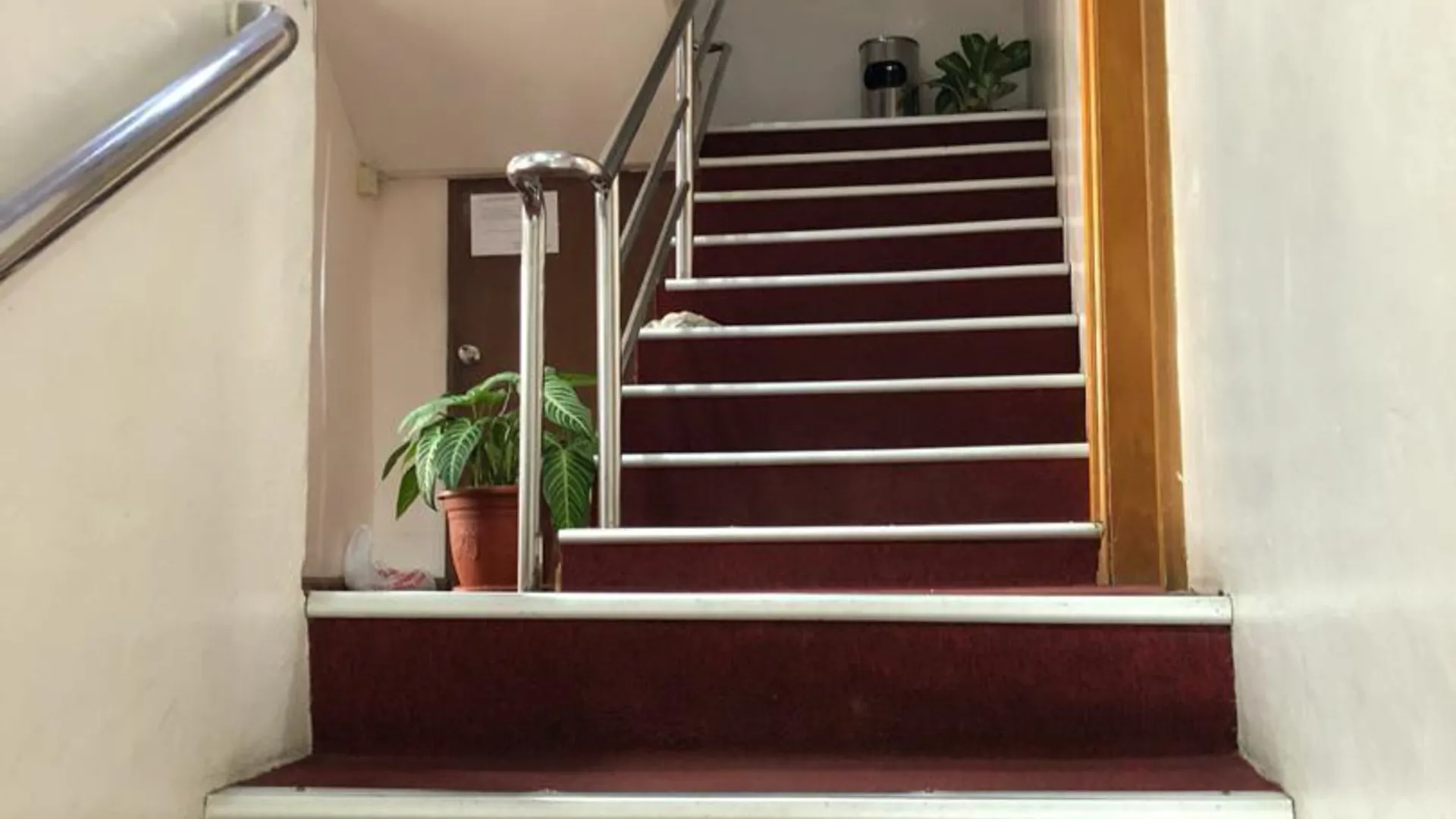 라와스 호텔 페르다나 호텔 수영장