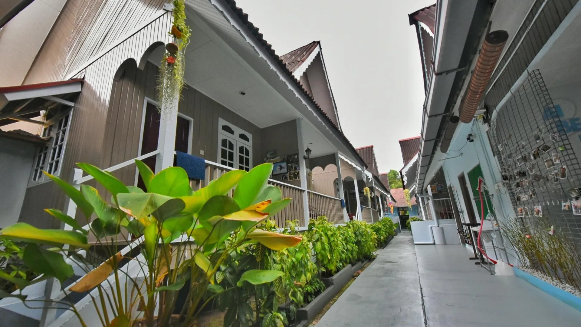 팡코르 아이 비치 리조트 2성급 호텔 객실