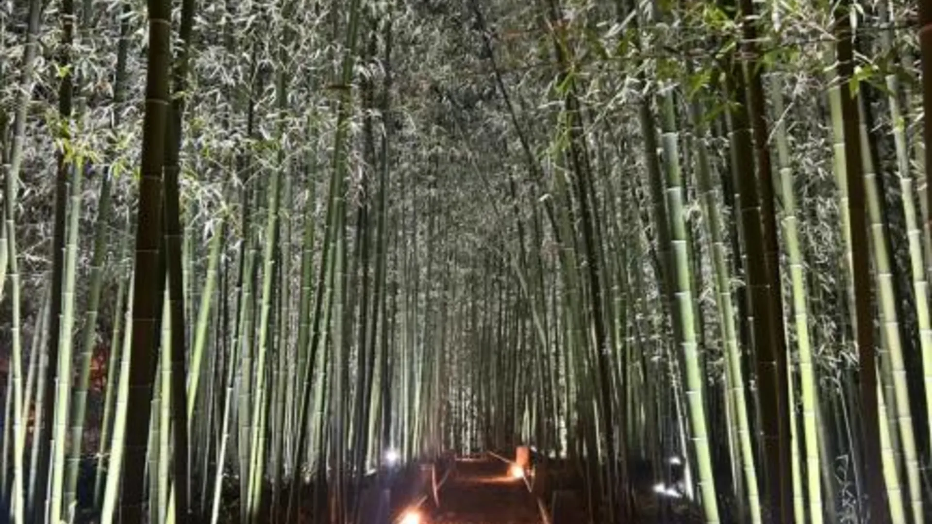 교토 嵐翁居らんおうきょ Ranohkyo 2성급 호텔 로비