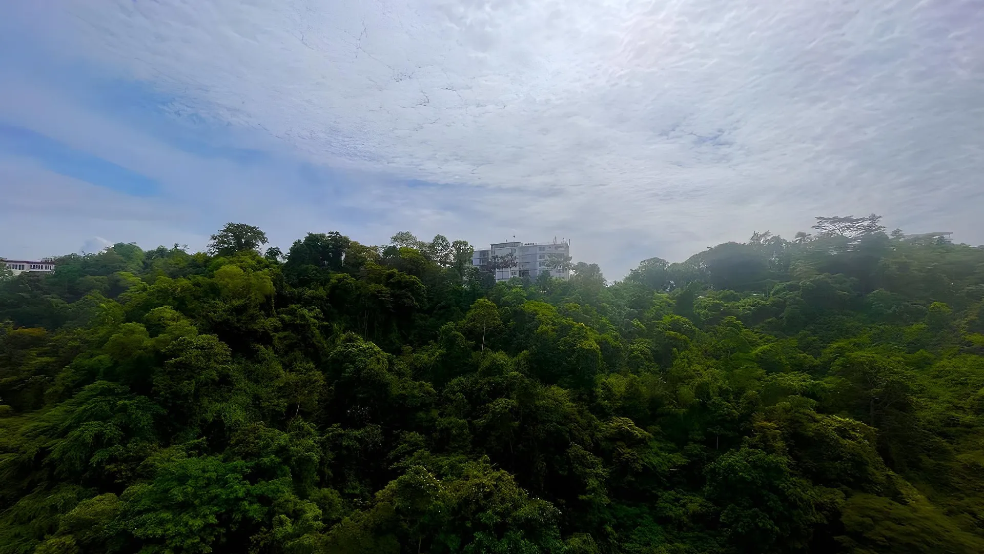 코타키나발루 쿠알라 펜유의 아파트먼트 (1200m², 침실 2개, 프라이빗 욕실 2개) 3성급 싱글룸 부대시설