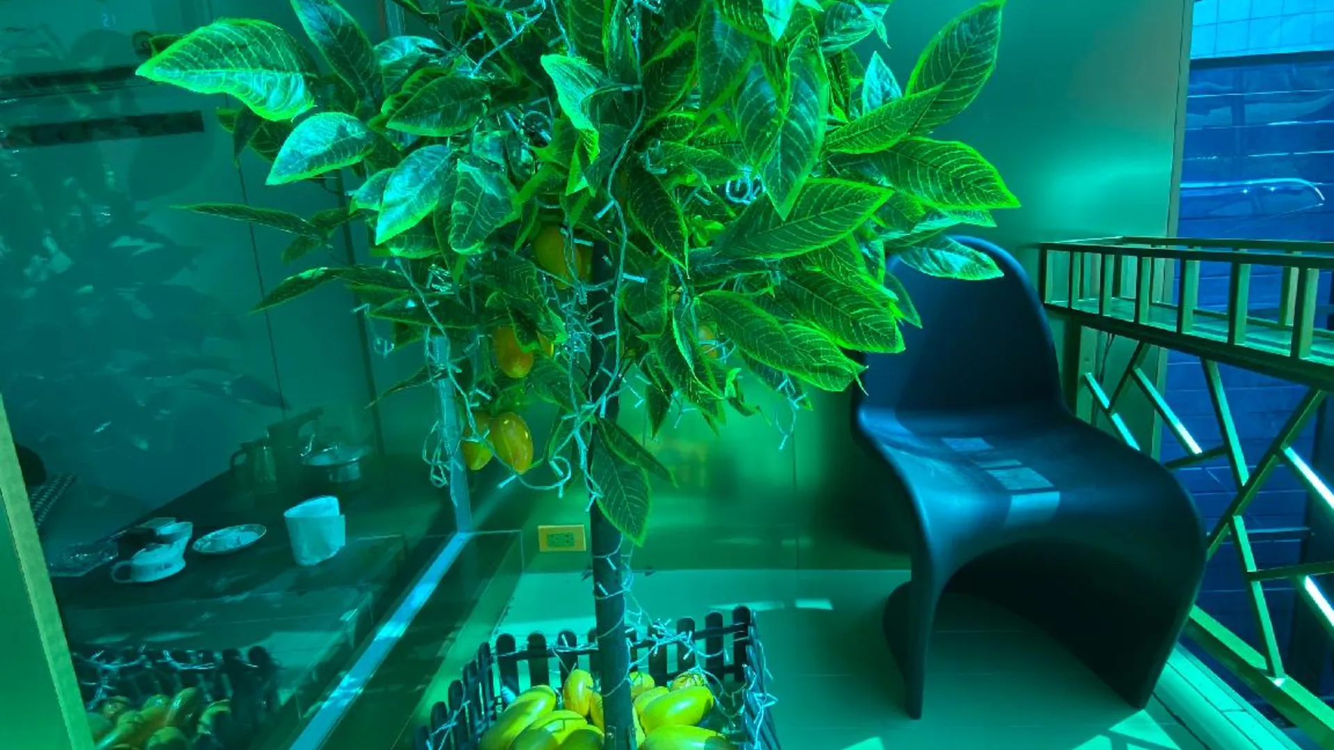 방콕 골든망고 홈 호텔 2성급 호텔 스위트룸