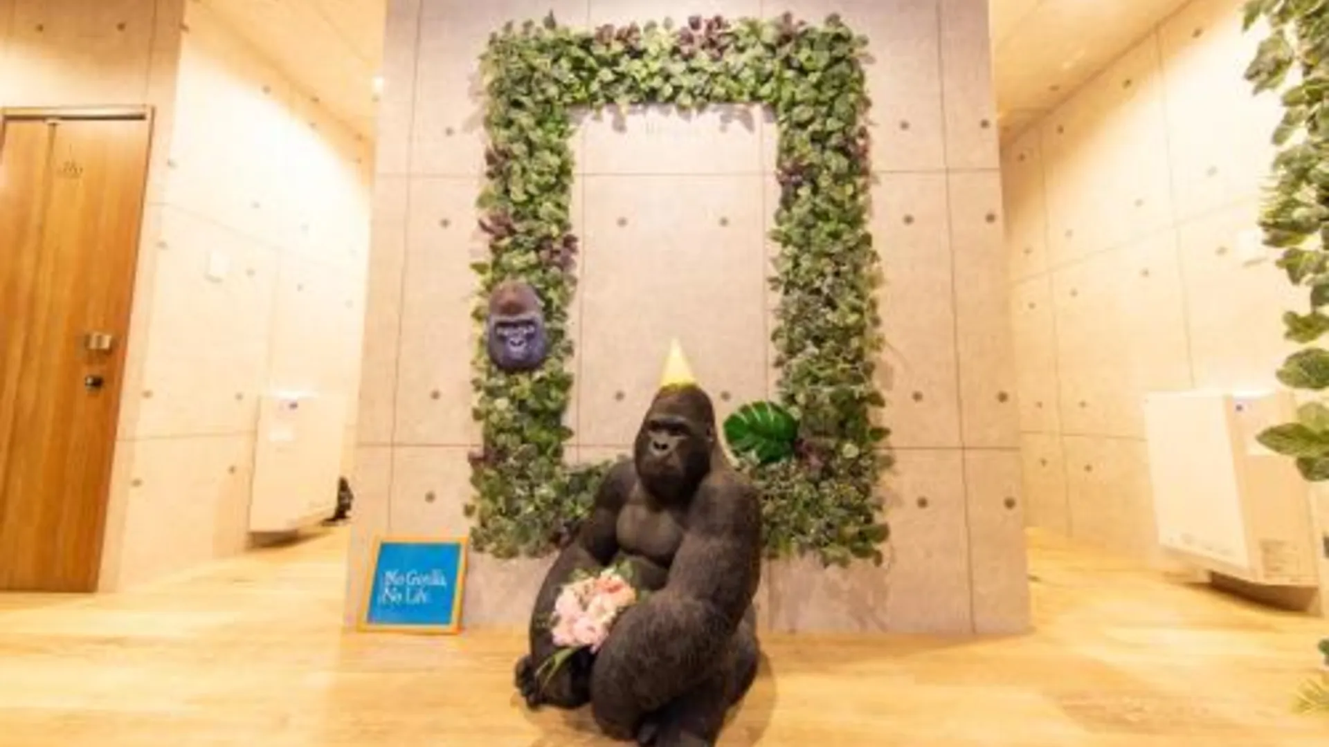 오사카 게스트하우스 고릴라 2성급 호텔 로비