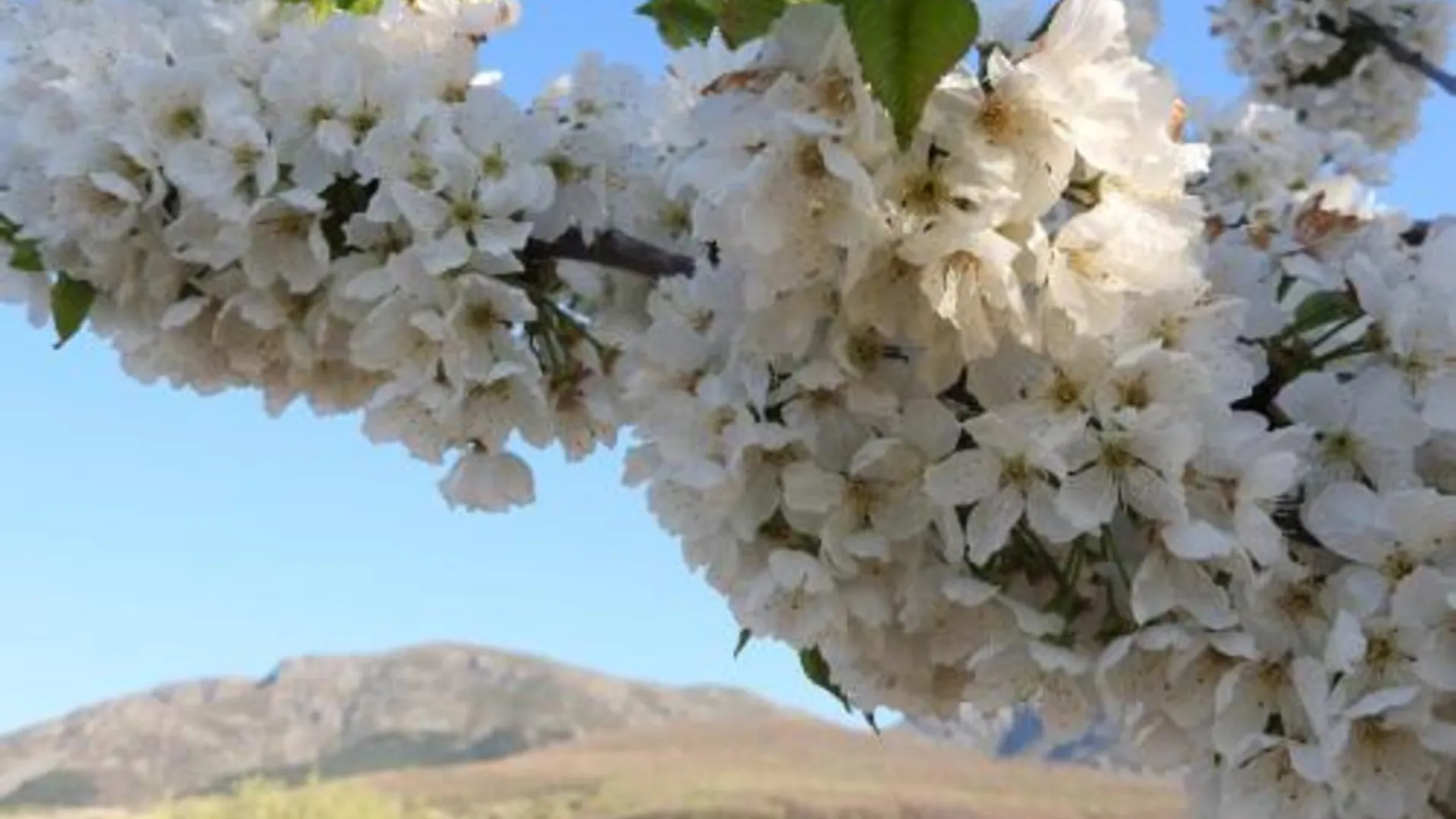 플라센샤 Apartamento Plasencia 4성급 싱글룸 부대시설