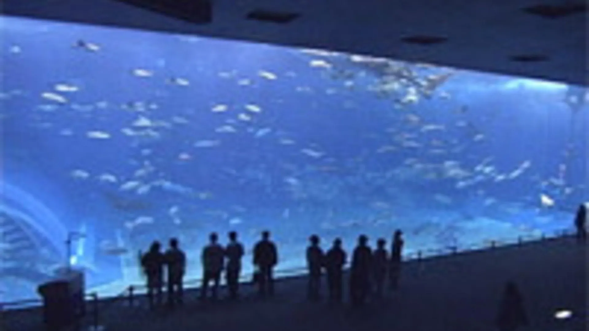 오키나와 본섬 Hotel Yamadaso 2성급 호텔 스위트룸