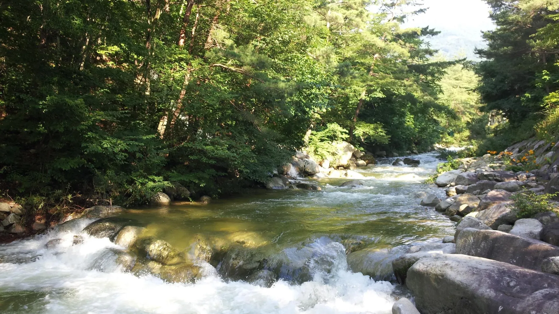양양 굿스테이 갈천 패밀리 리조트 2성급 호텔 레스토랑
