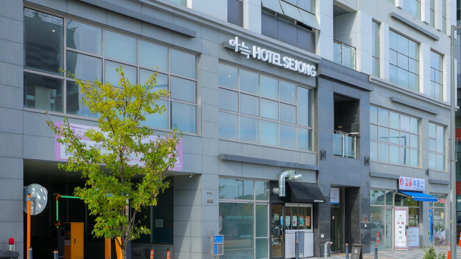 세종시 아늑호텔 세종 3성급 호텔 전망