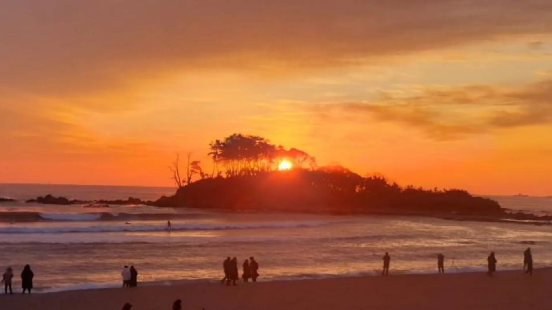 울산 울산 진하비치펜션 2성급 게스트하우스 외관