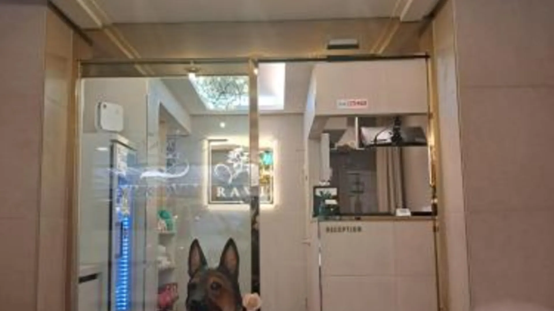 서울 잠실 라비 호텔 1성급 호텔 수영장