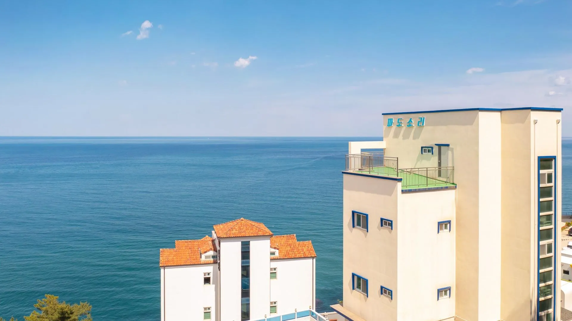 삼척 삼척 파도소리 스파펜션 3성급 게스트하우스 수영장