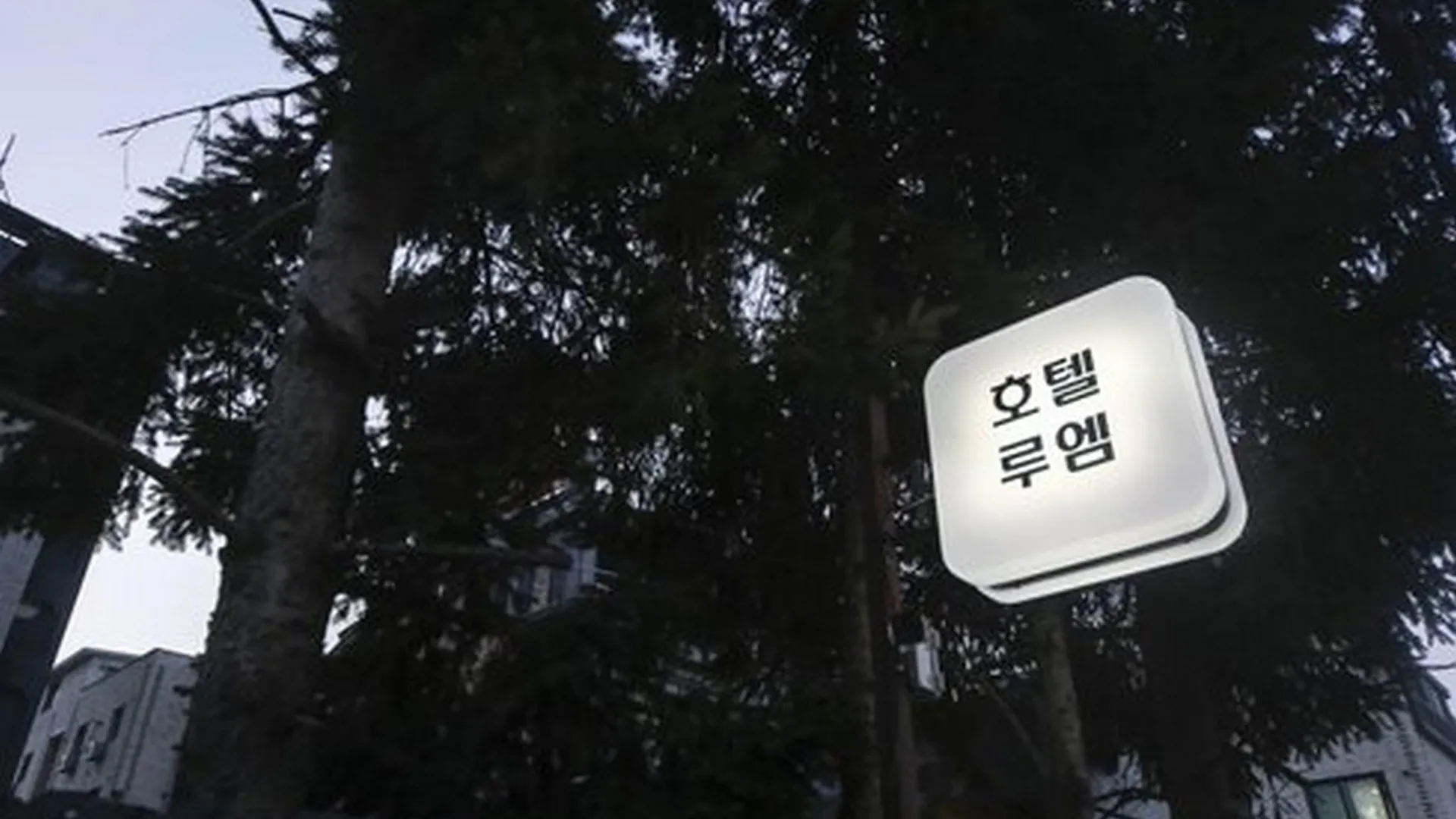 안성 호텔 루엠 공도점 5성급 호텔 스위트룸