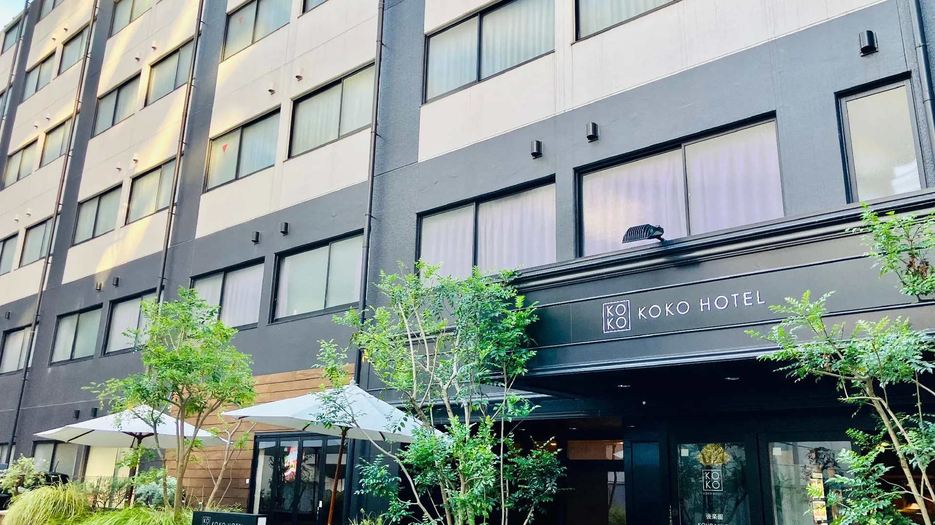 도쿄 / 동경 KOKO 호텔 고라쿠엔 3성급 호텔 객실