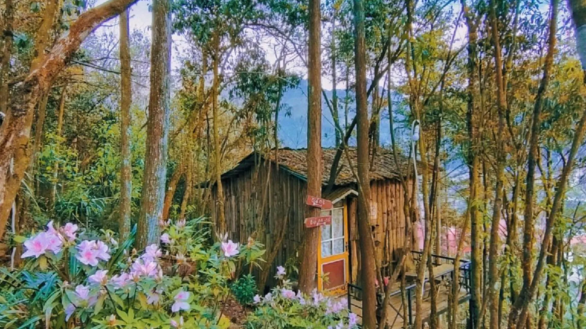 사파 사빠 도심의  (25m², 침실 1개, 프라이빗 욕실 1개) 4성급 게스트하우스 객실