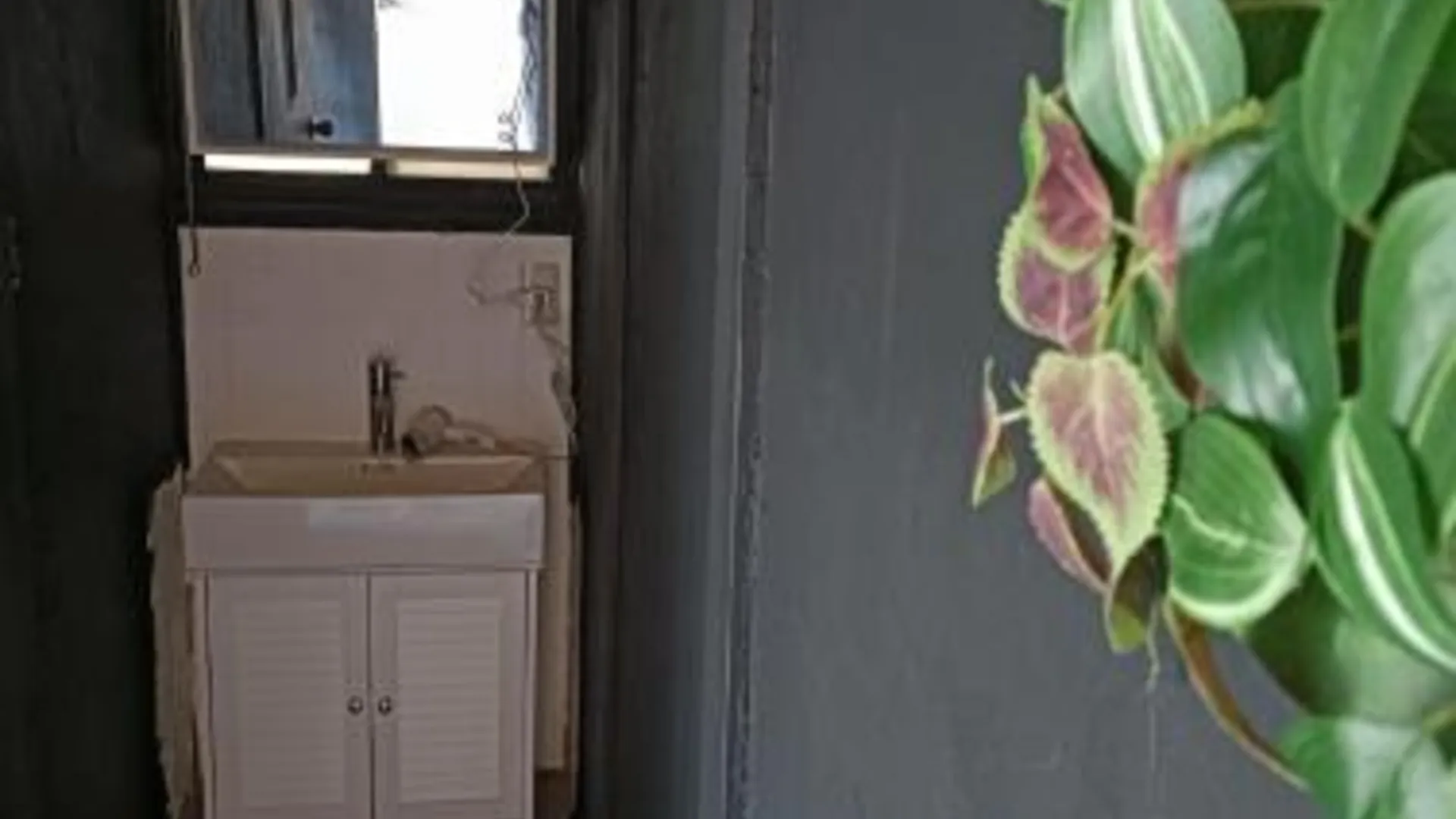 후쿠오카 Jupiter 糸島市1棟貸し 5성급 게스트하우스 레스토랑