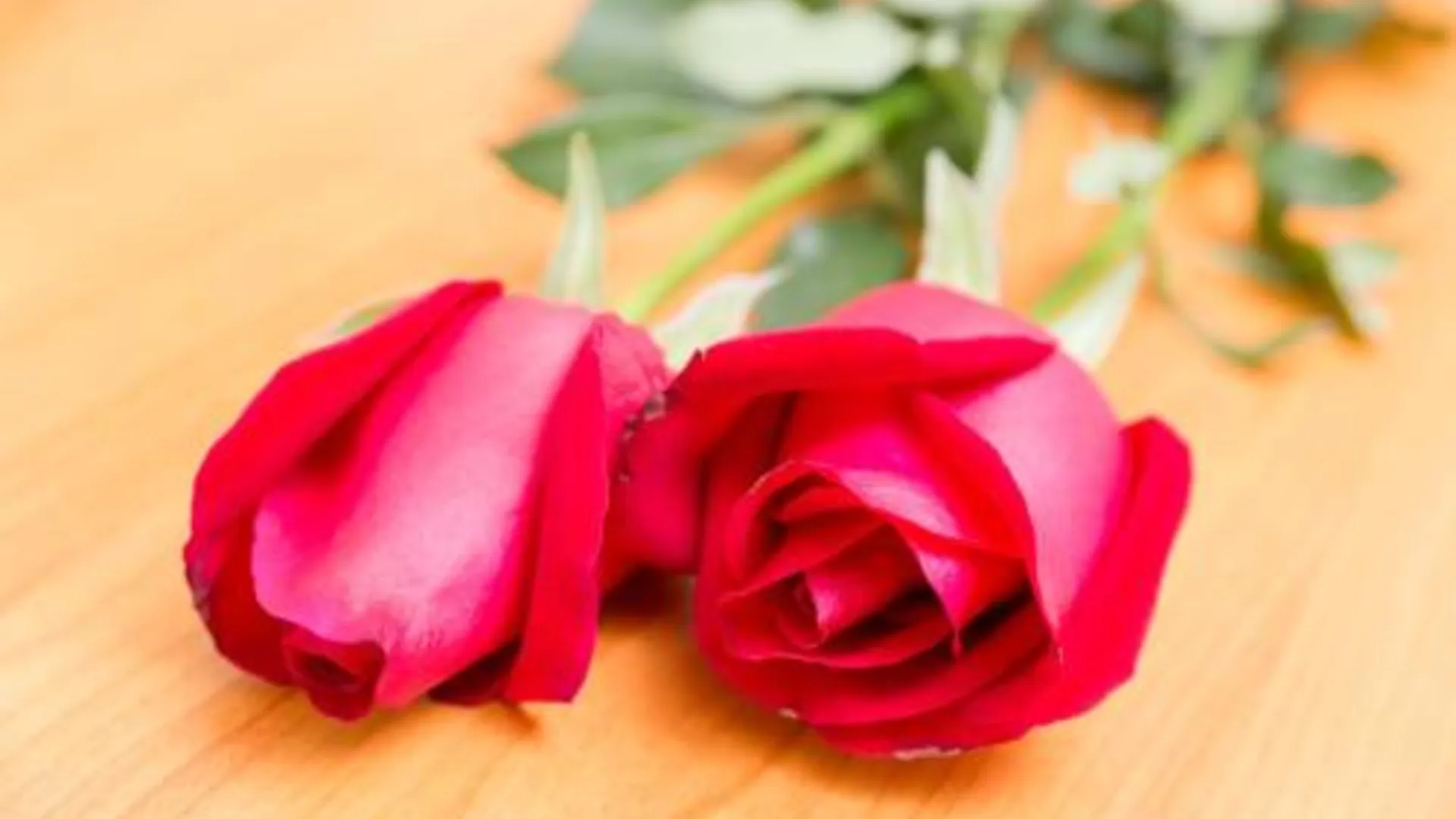 방콕 더 가든 플레이스 방콕 - 응암웡완 2성급 호텔 전망