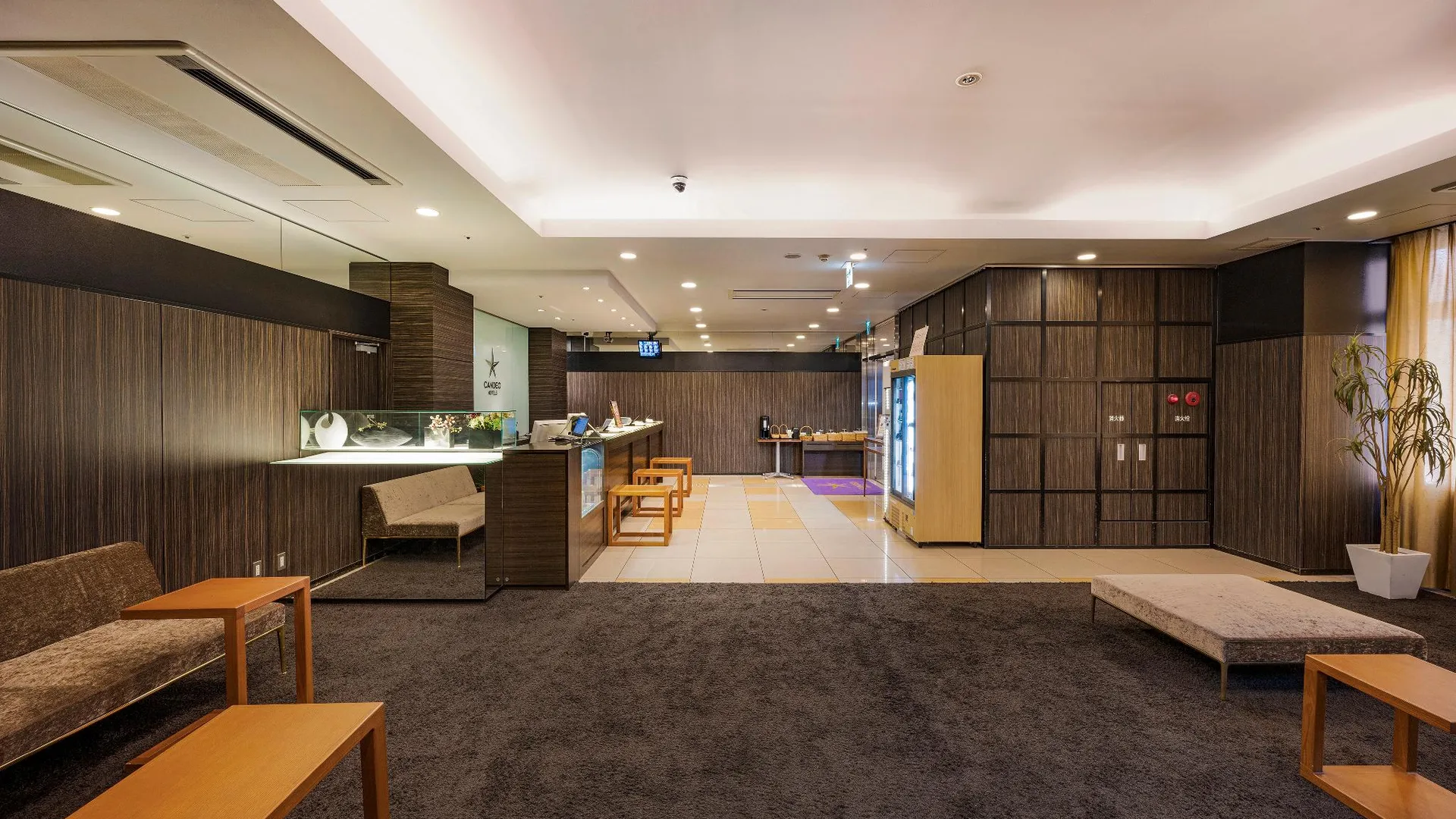 도쿄 / 동경 칸데오 호텔스 우에노코엔 3성급 호텔 객실