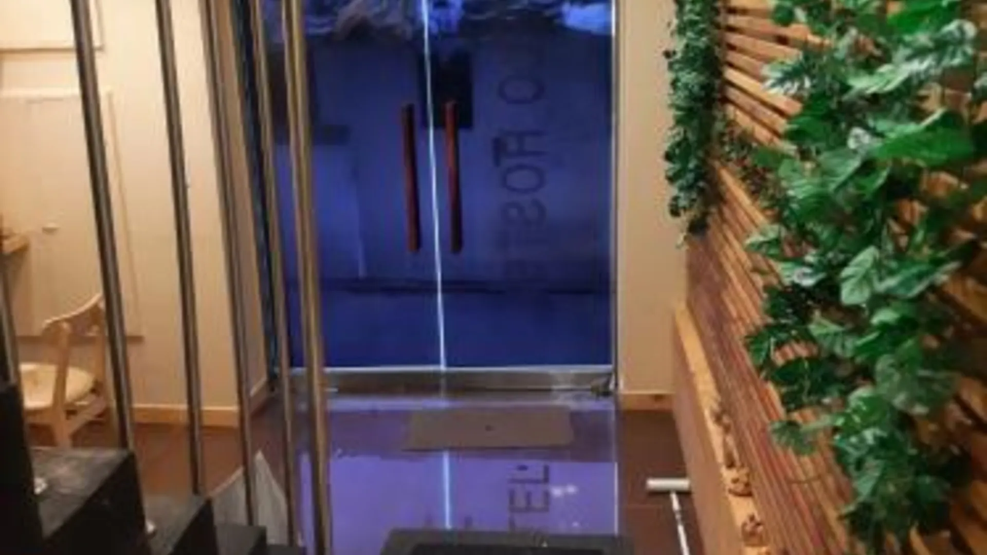 서울 엘로 호스텔 1성급 호텔 로비