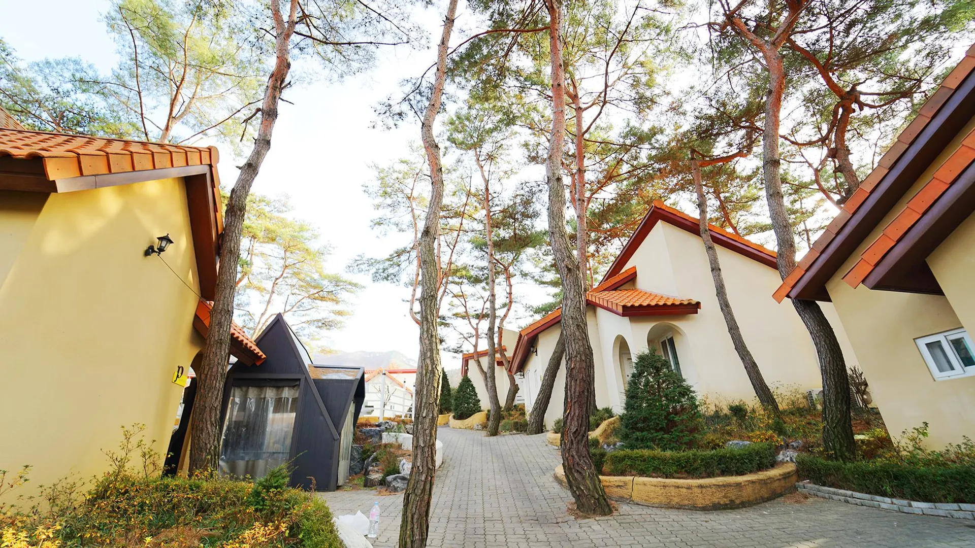 괴산 청주 라킨타펜션 3성급 게스트하우스 수영장