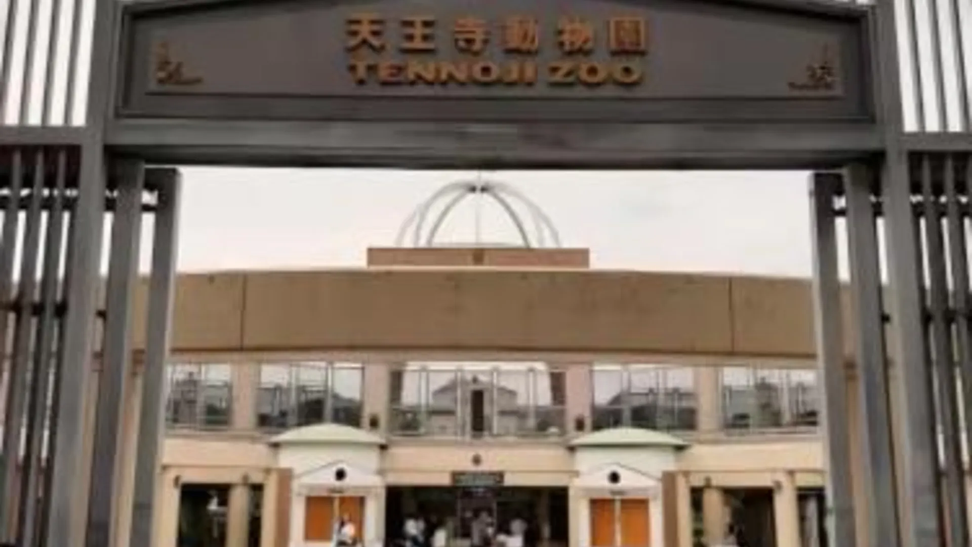 오사카 sunshine 304 3성급 싱글룸 부대시설