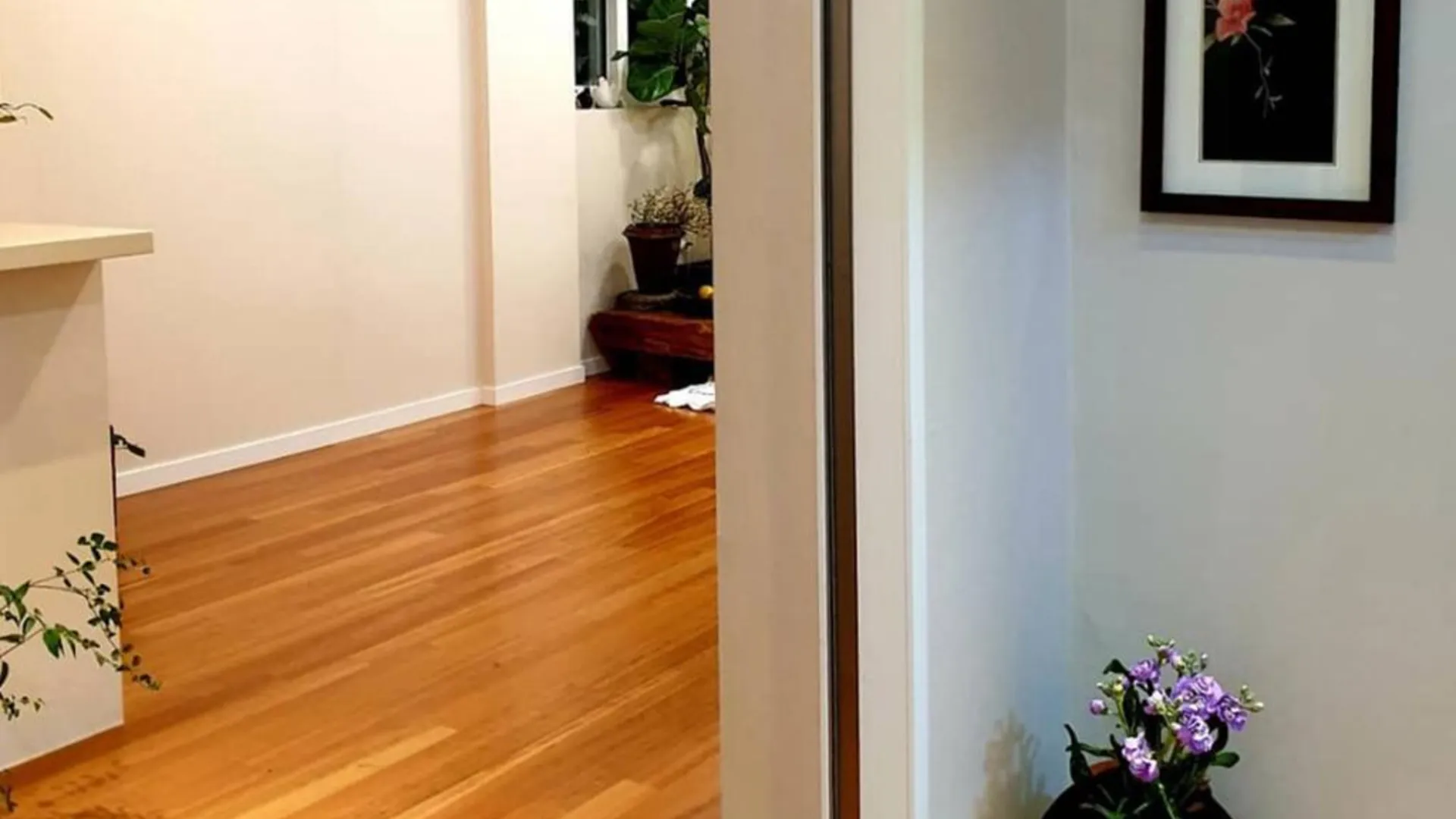 전주 전주 분 게스트하우스 호텔 전망