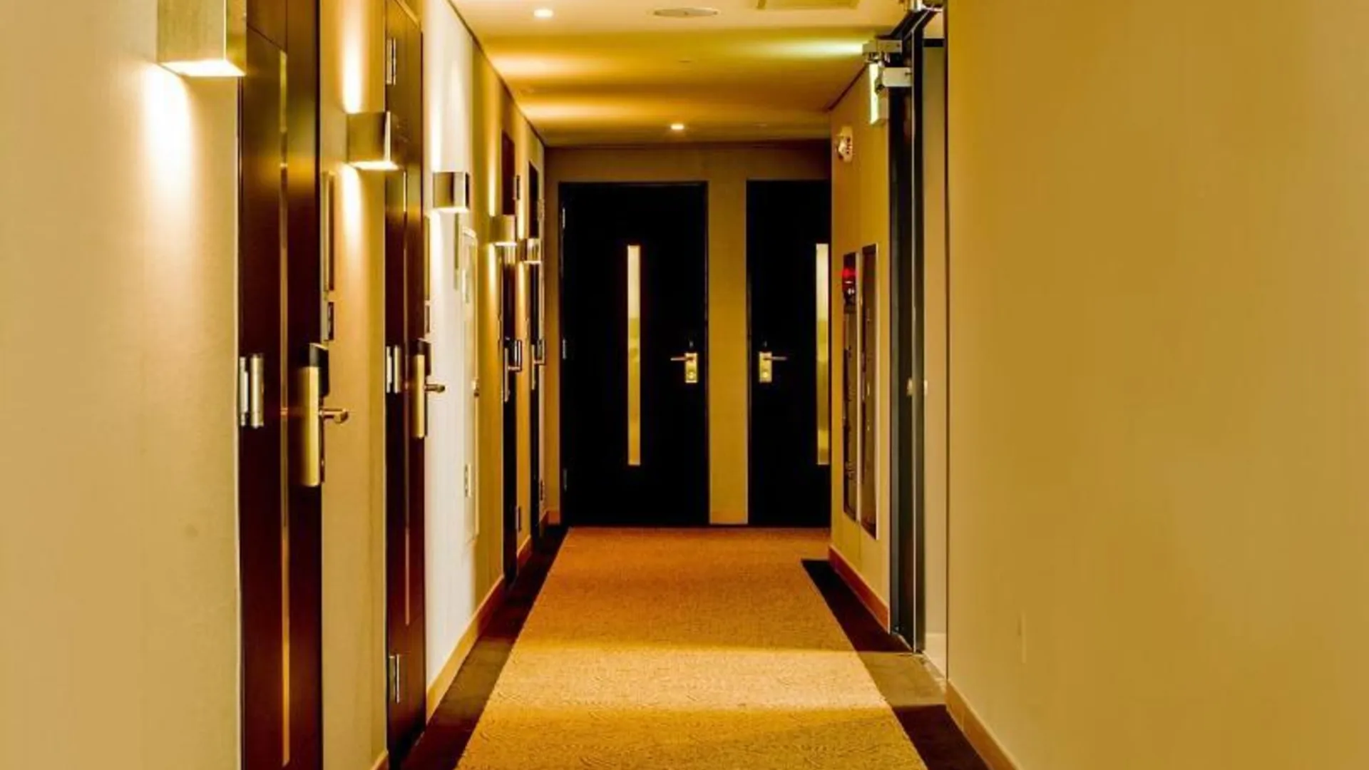 서울 베이튼 서울 동대문 호텔 3성급 호텔 부대시설