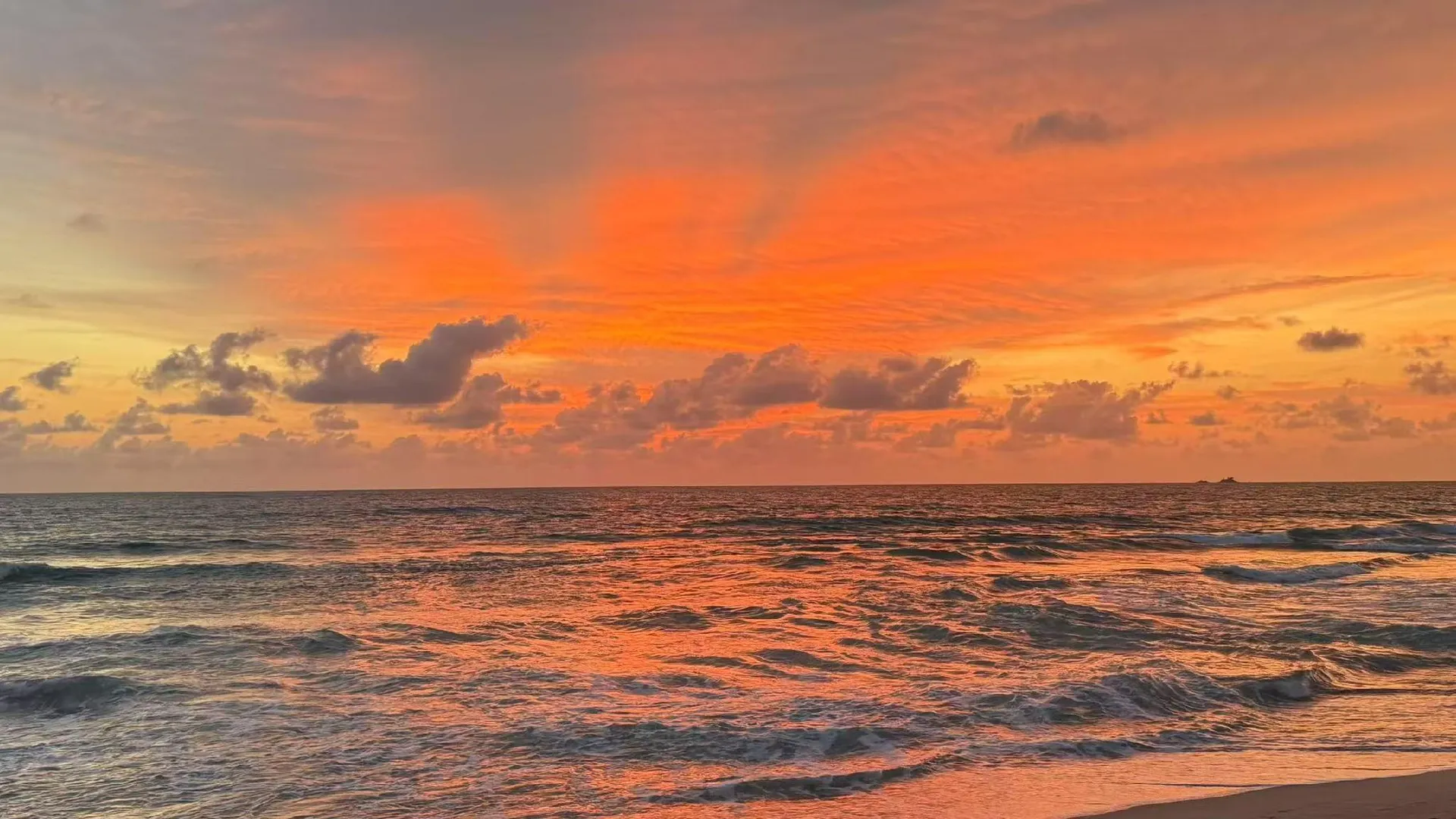 푸켓 빠통의 아파트먼트 (27m², 침실 1개, 프라이빗 욕실 1개) 2성급 싱글룸 수영장