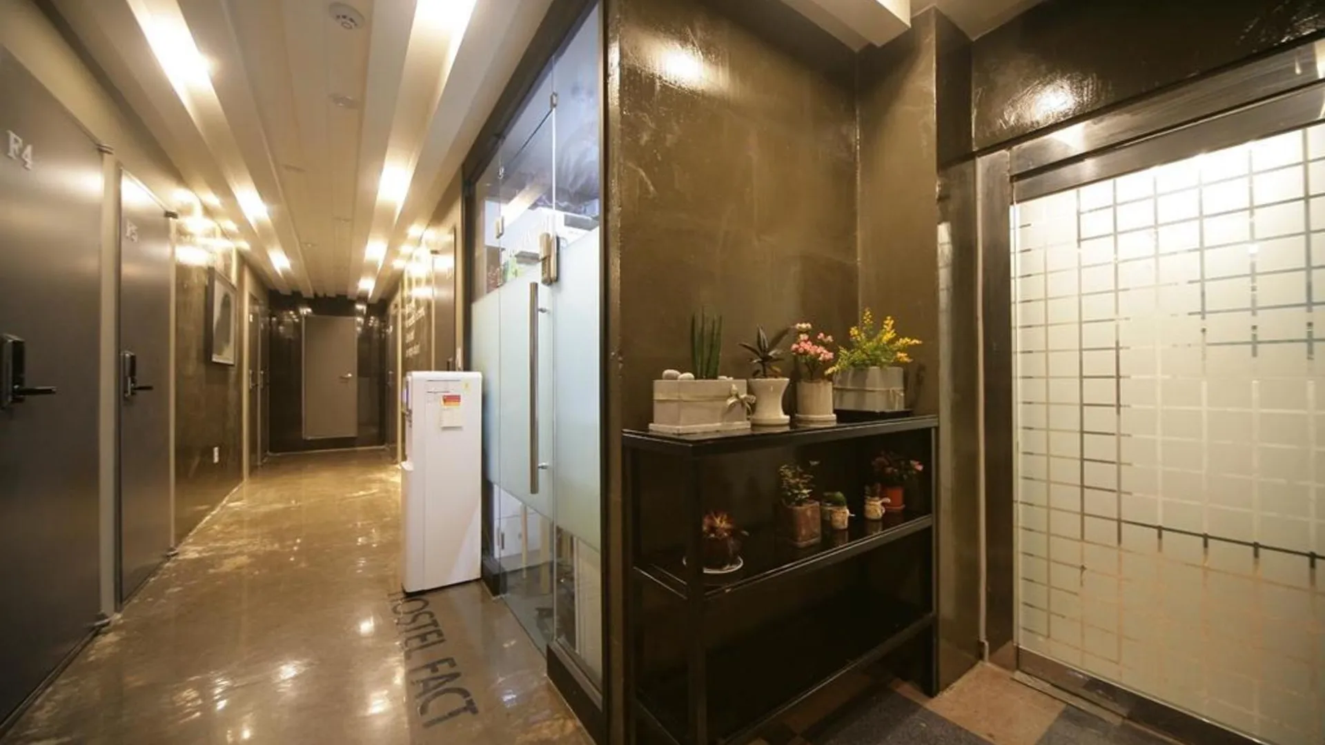 서울 스텔라 호스텔 1성급 호텔 로비