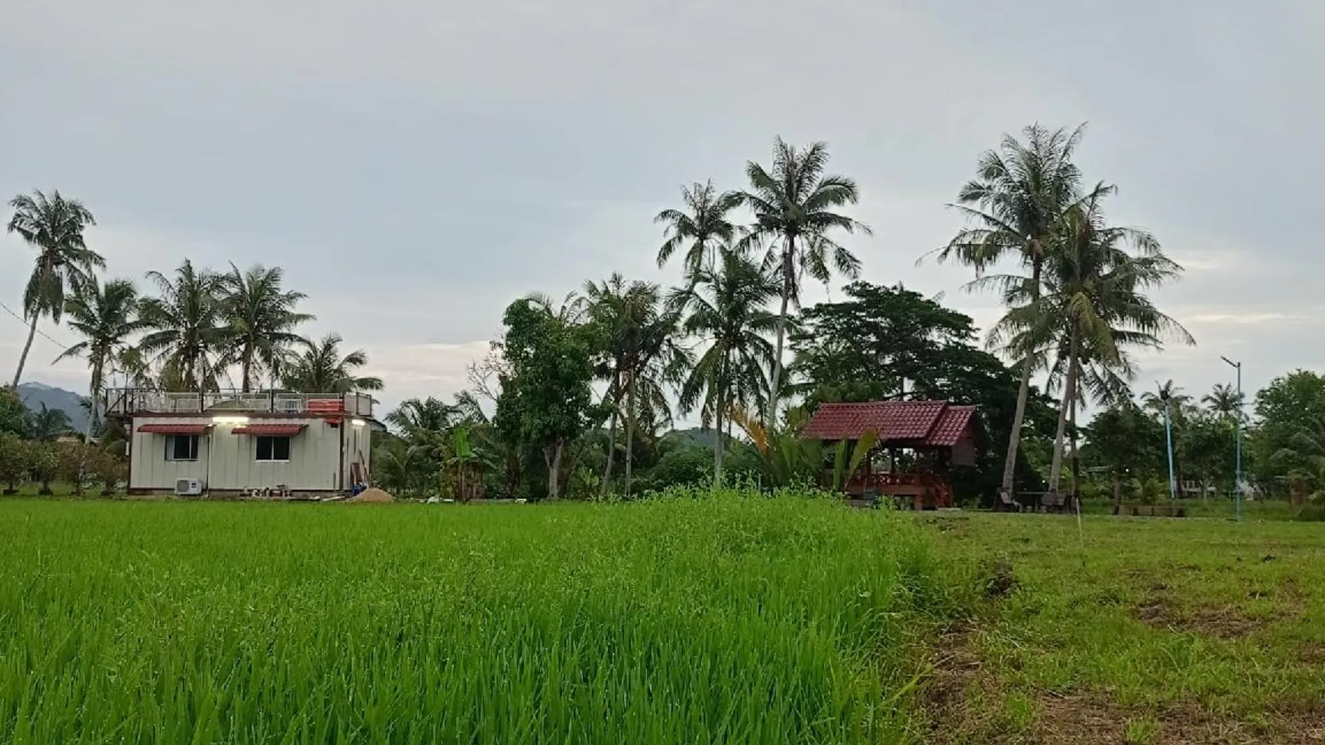 캉가르 기타의  (m², 침실 1개, 프라이빗 욕실 1개) 3성급 싱글룸 레스토랑