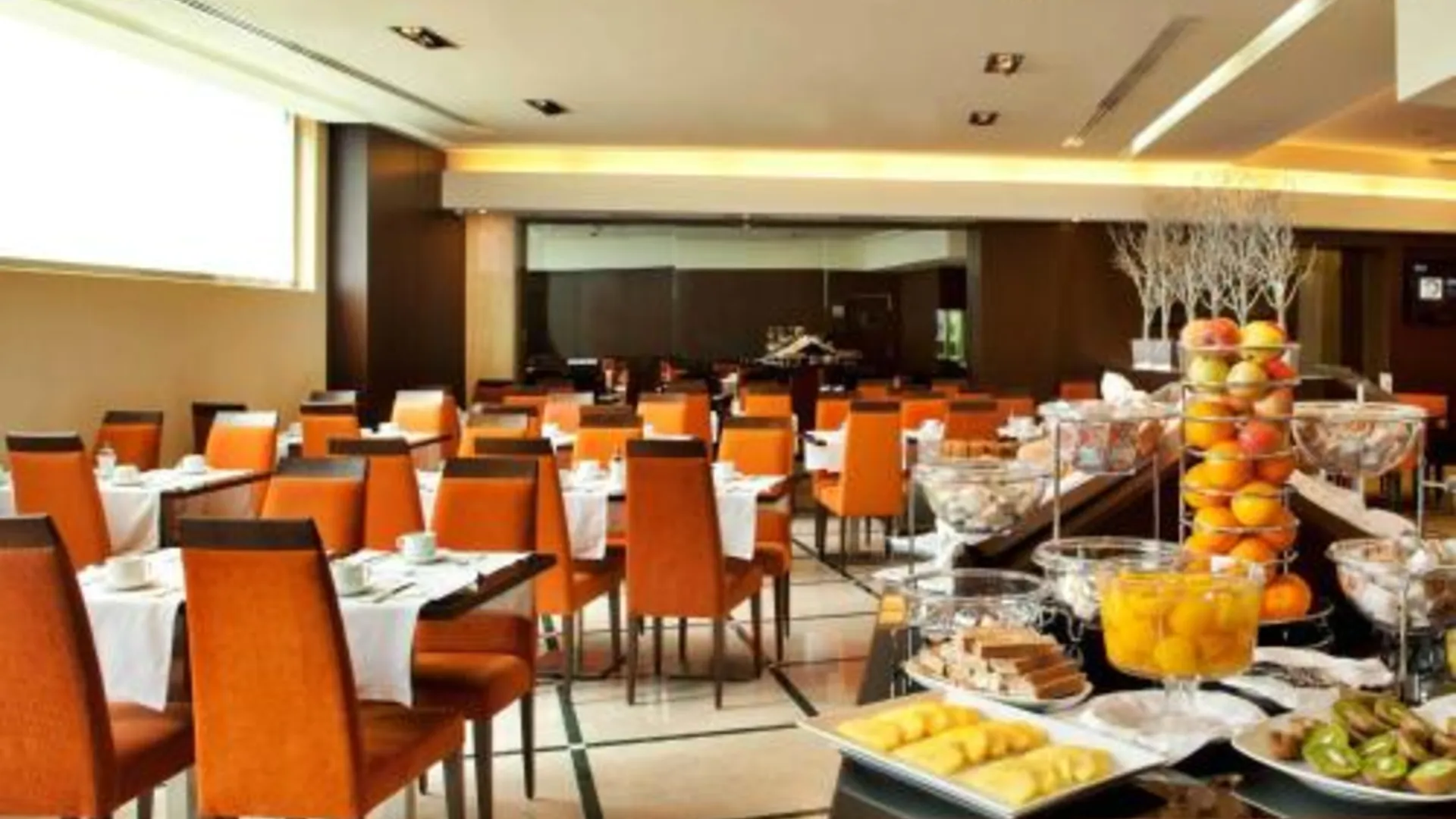 리스본 투림 알라메다 호텔 4성급 호텔 수영장