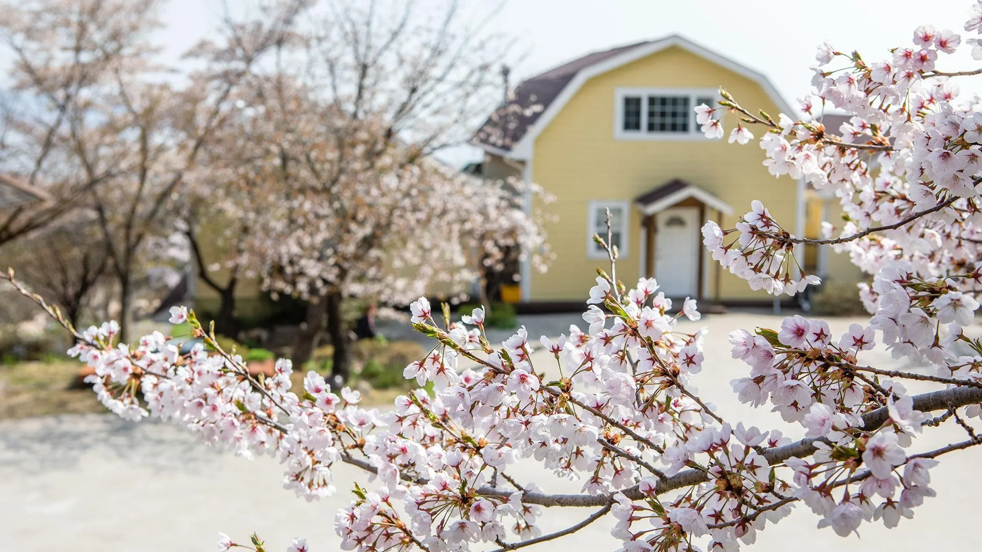 인천 강화 오비도스펜션 3성급 게스트하우스 레스토랑