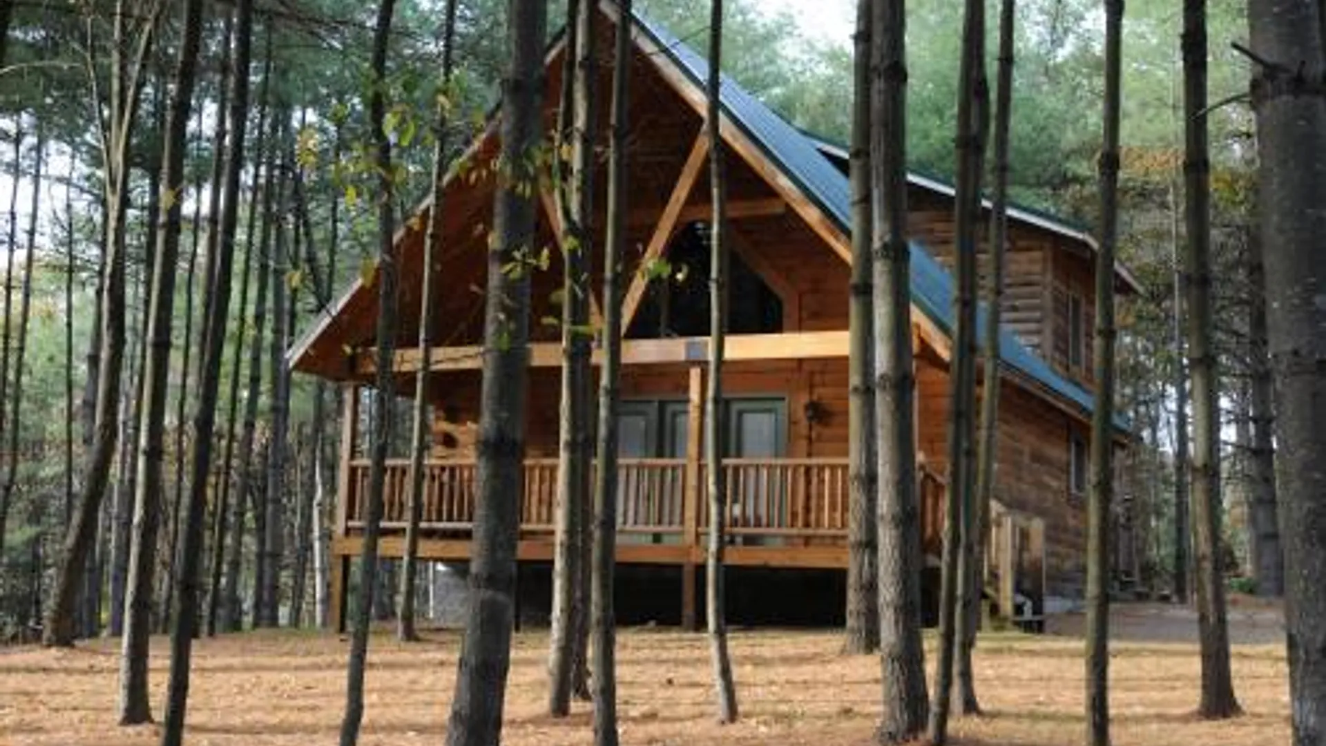 섬머스빌 (WV) The Cabins at Pine Haven - Beckley 4성급 게스트하우스 객실