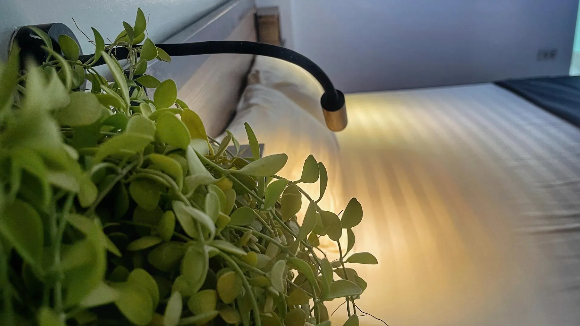 하노이 하노이 에코스테이 2 호스텔 2성급 호텔 객실