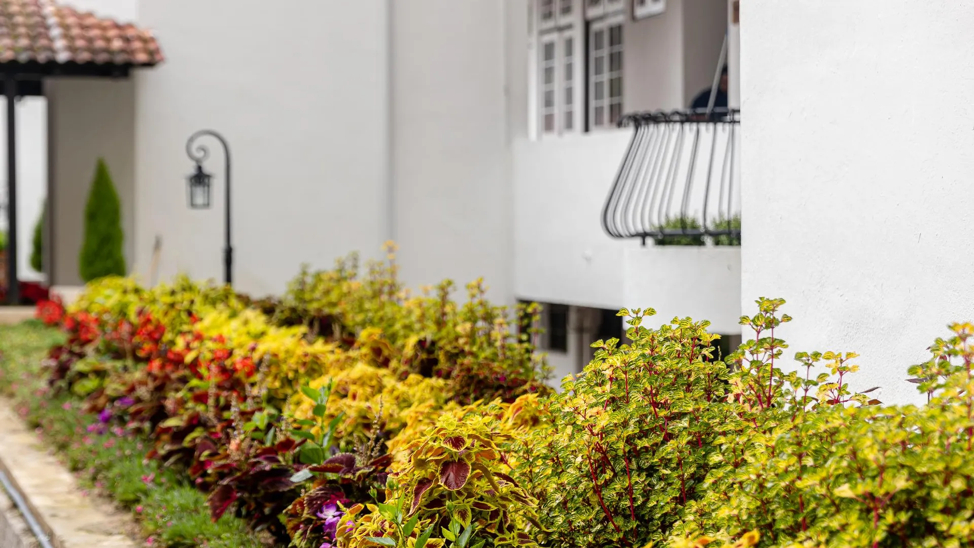 카메론 하일랜즈 스프링힐 리조트 4성급 호텔 레스토랑