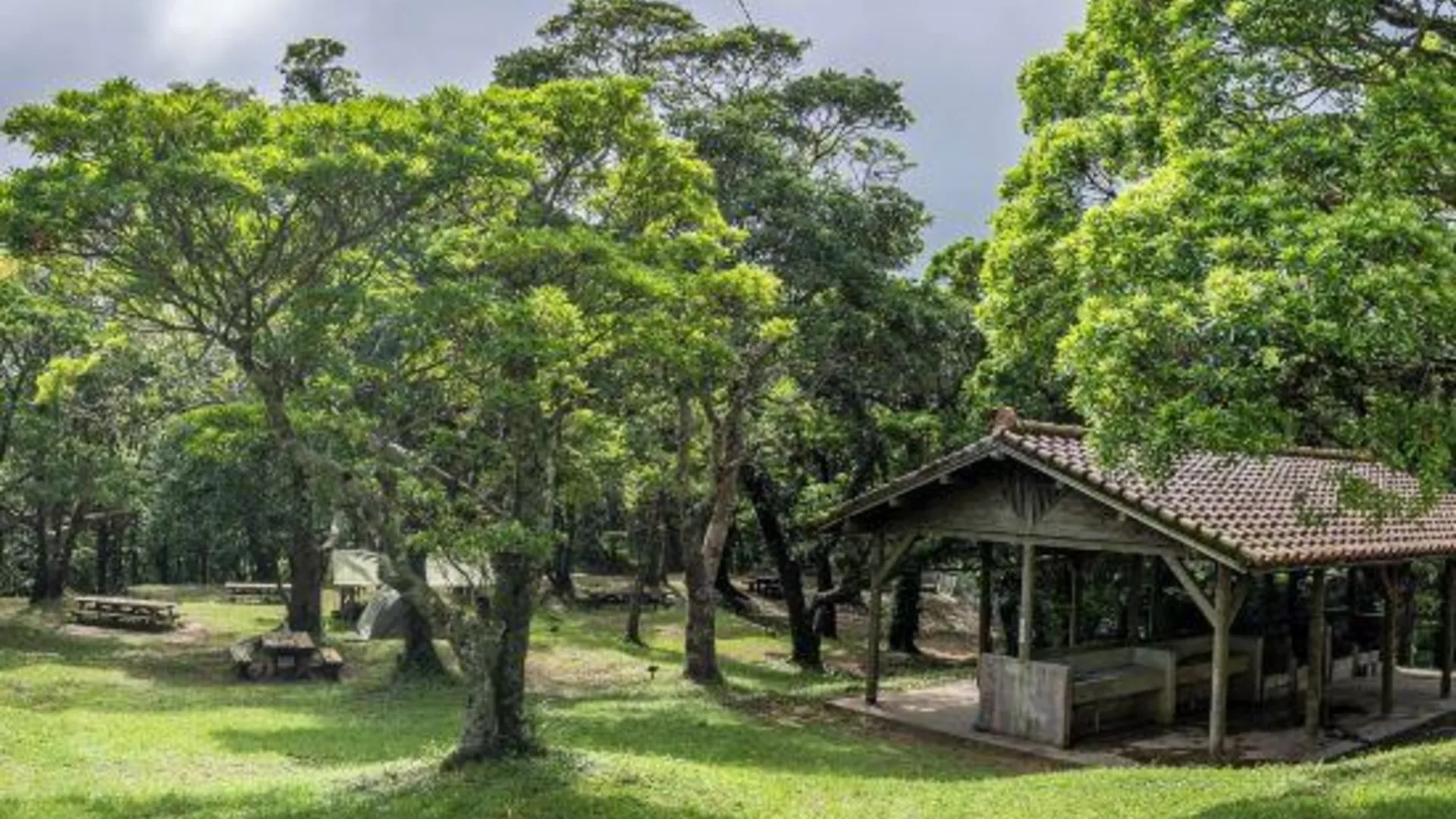 오키나와 본섬 Oppadake Forest Park Camp and Bungalows 3성급 호텔 객실