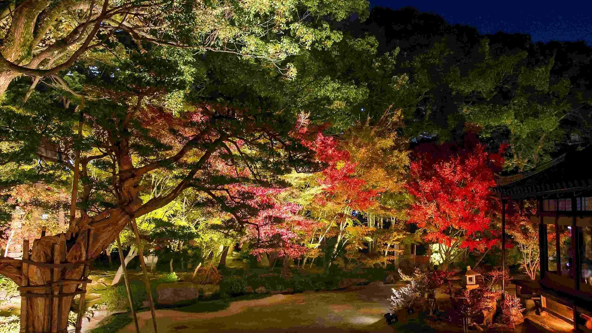 후쿠오카 도큐 스테이 하카타 3성급 호텔 레스토랑